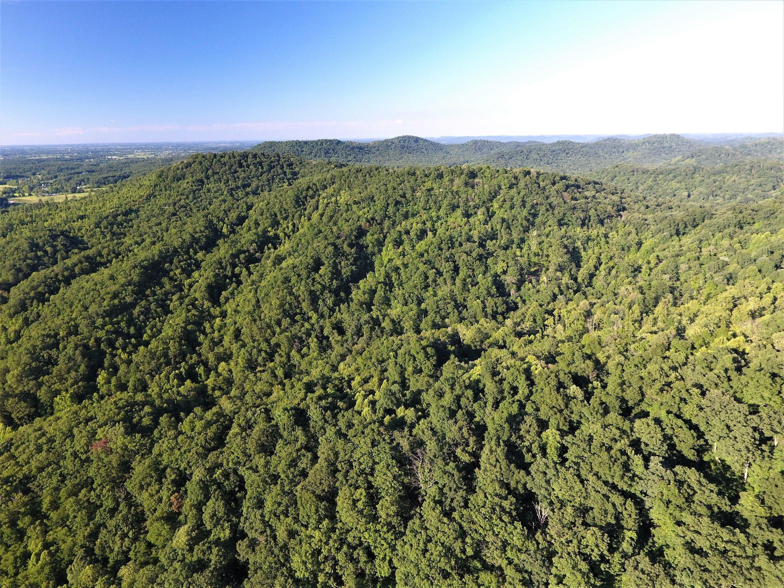 100 acres in Powell County, Kentucky