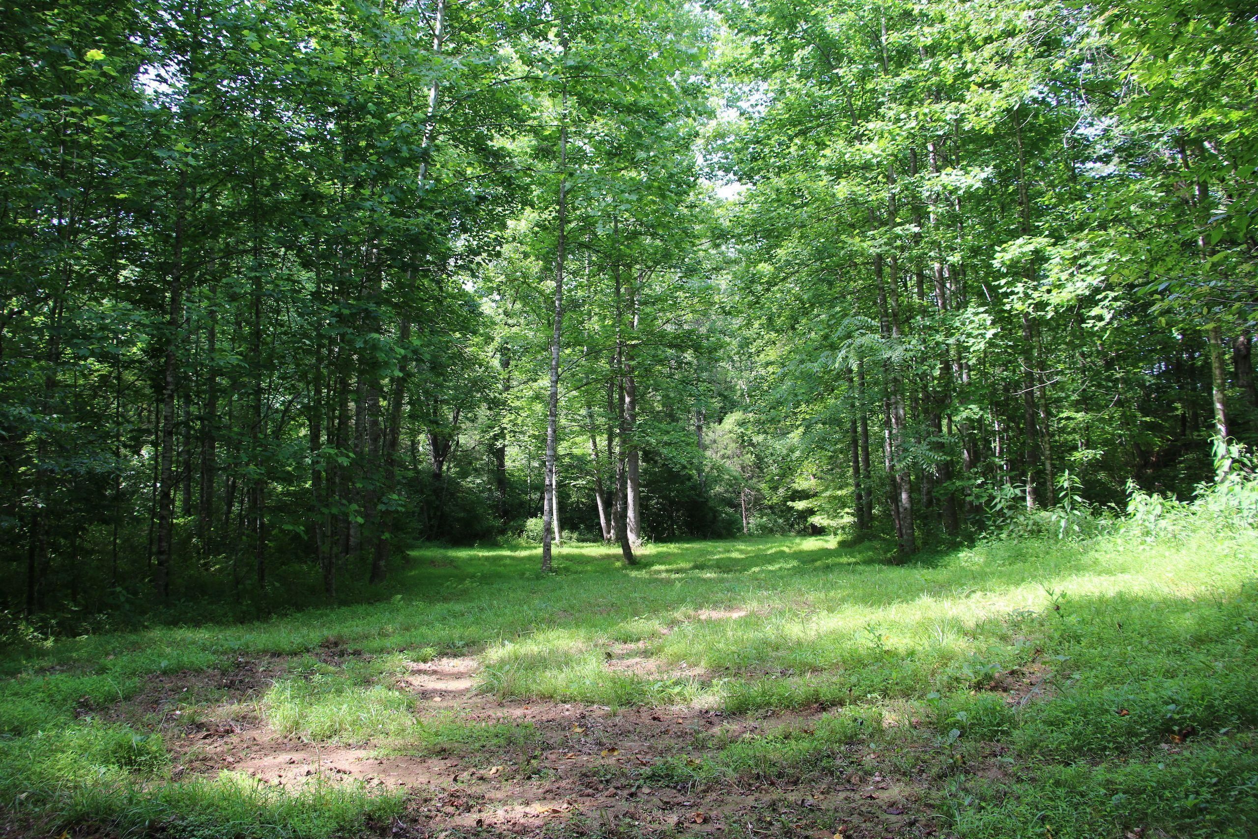 18.95 acres in Nelson County, Virginia