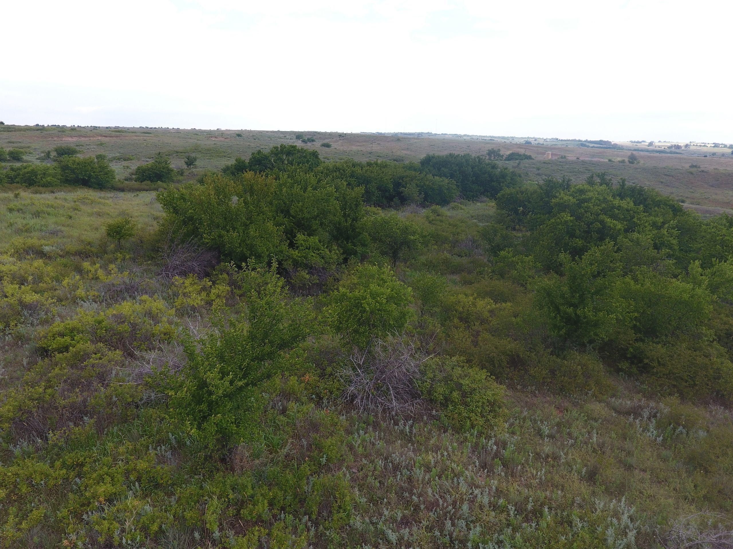 40 acres in Roger Mills County, Oklahoma