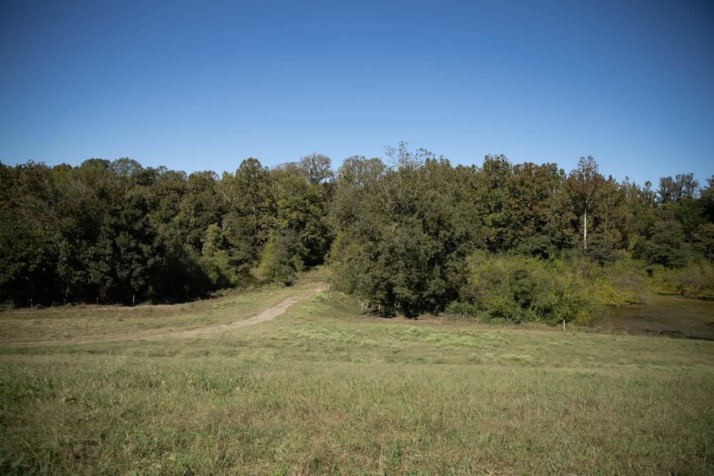64 acres in Bolivar County, Mississippi
