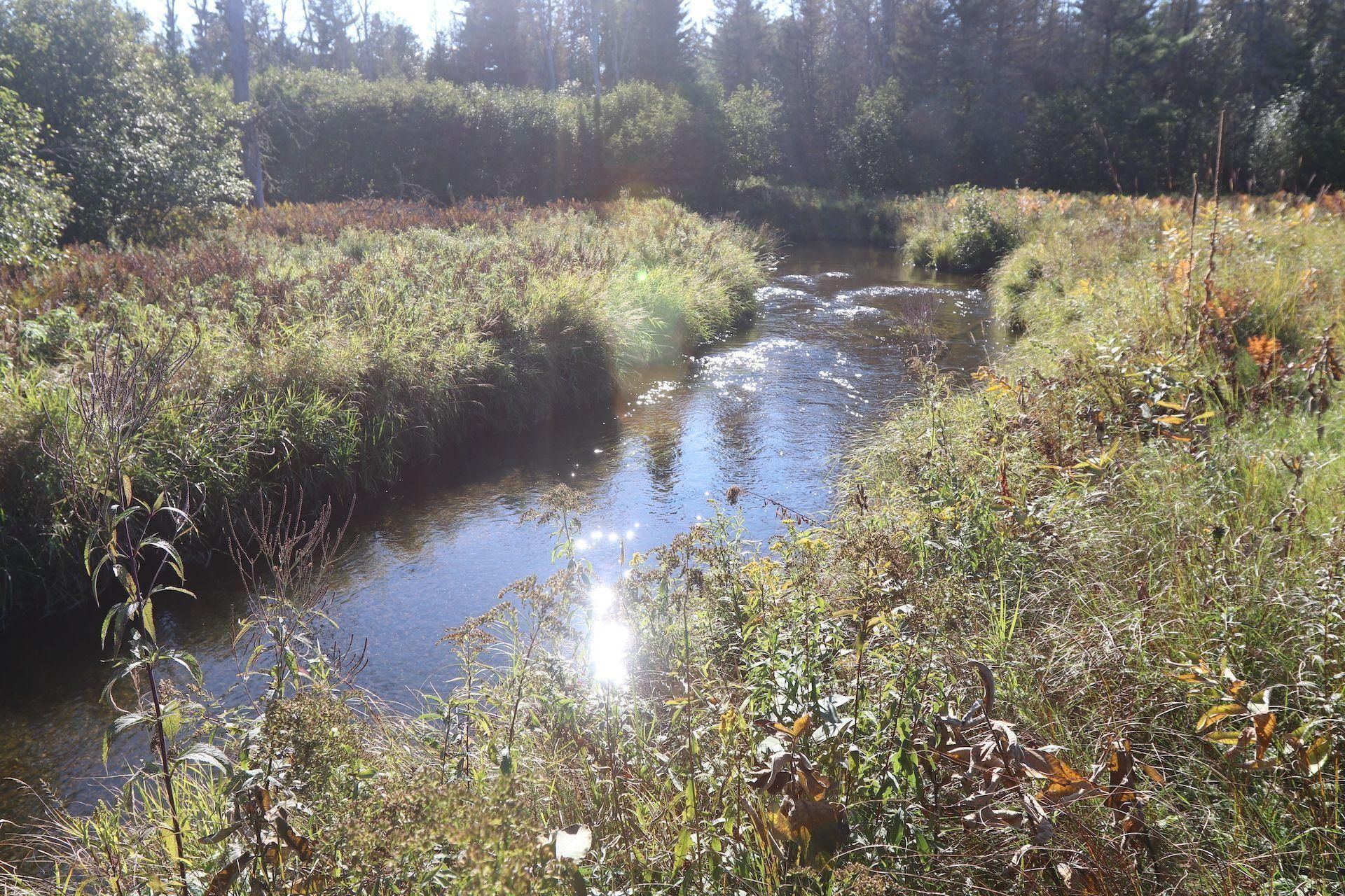 120 acres in Alcona County, Michigan