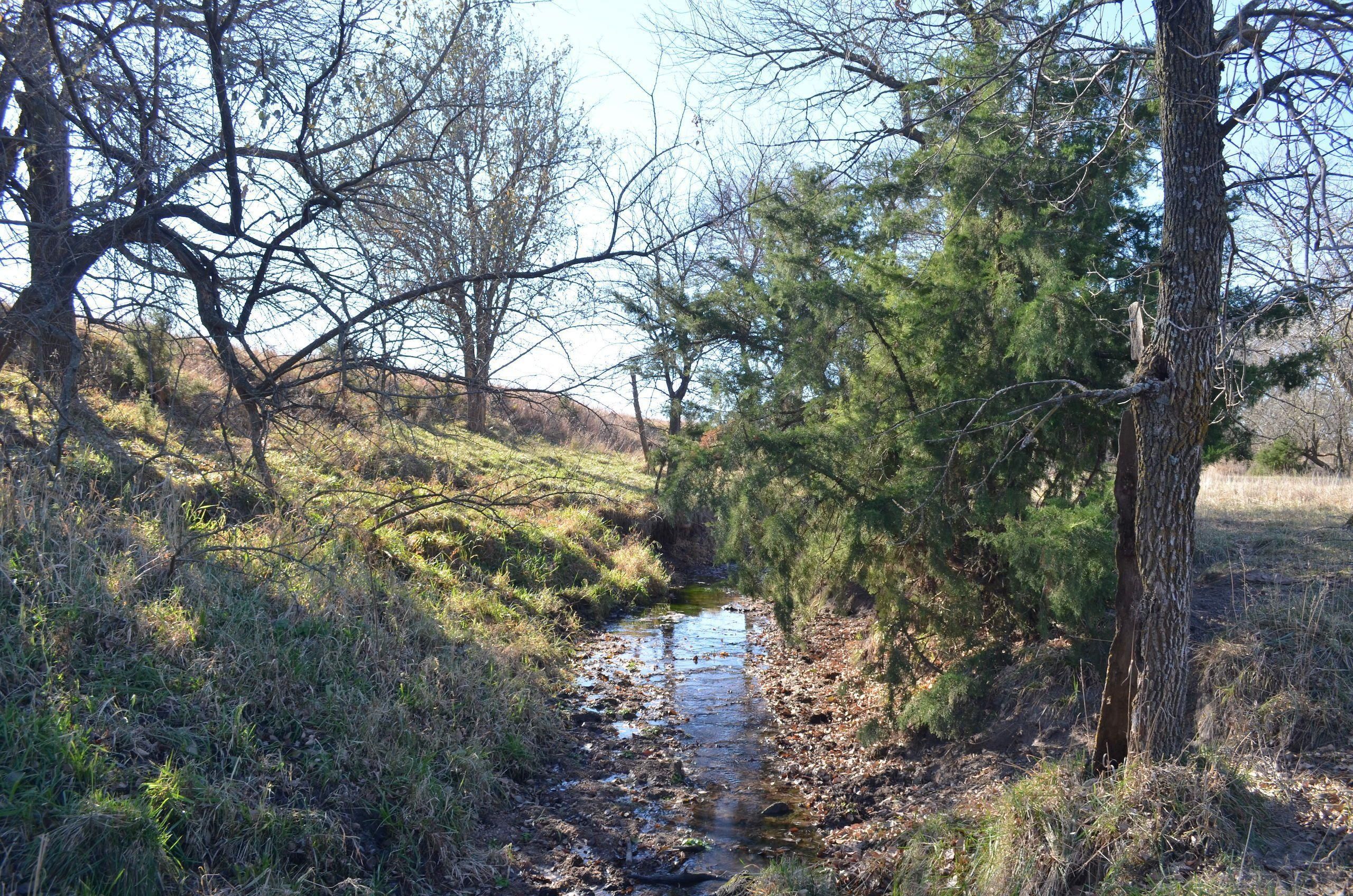 40 acres in Jefferson County, Nebraska