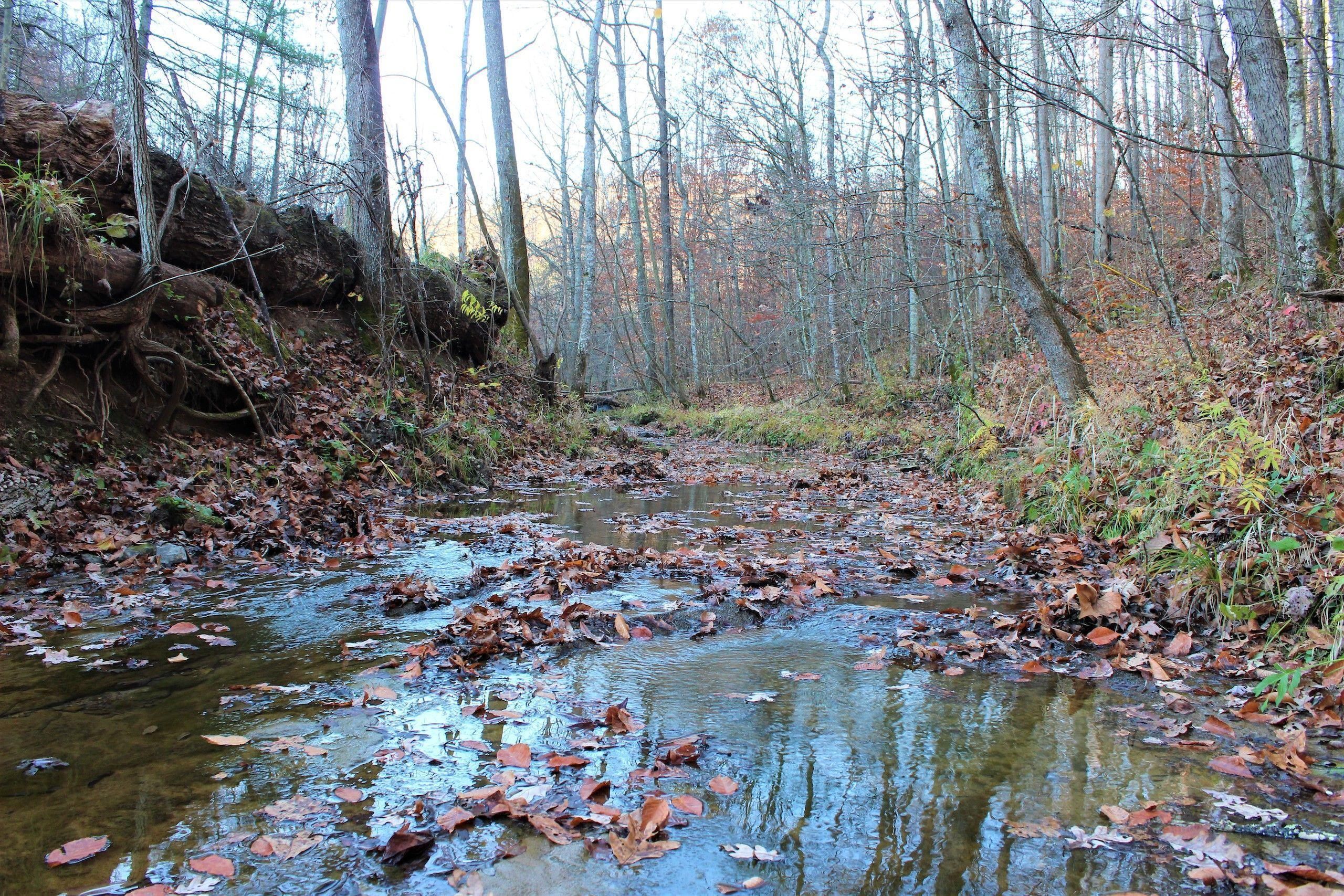 54 acres in Lawrence County, Kentucky