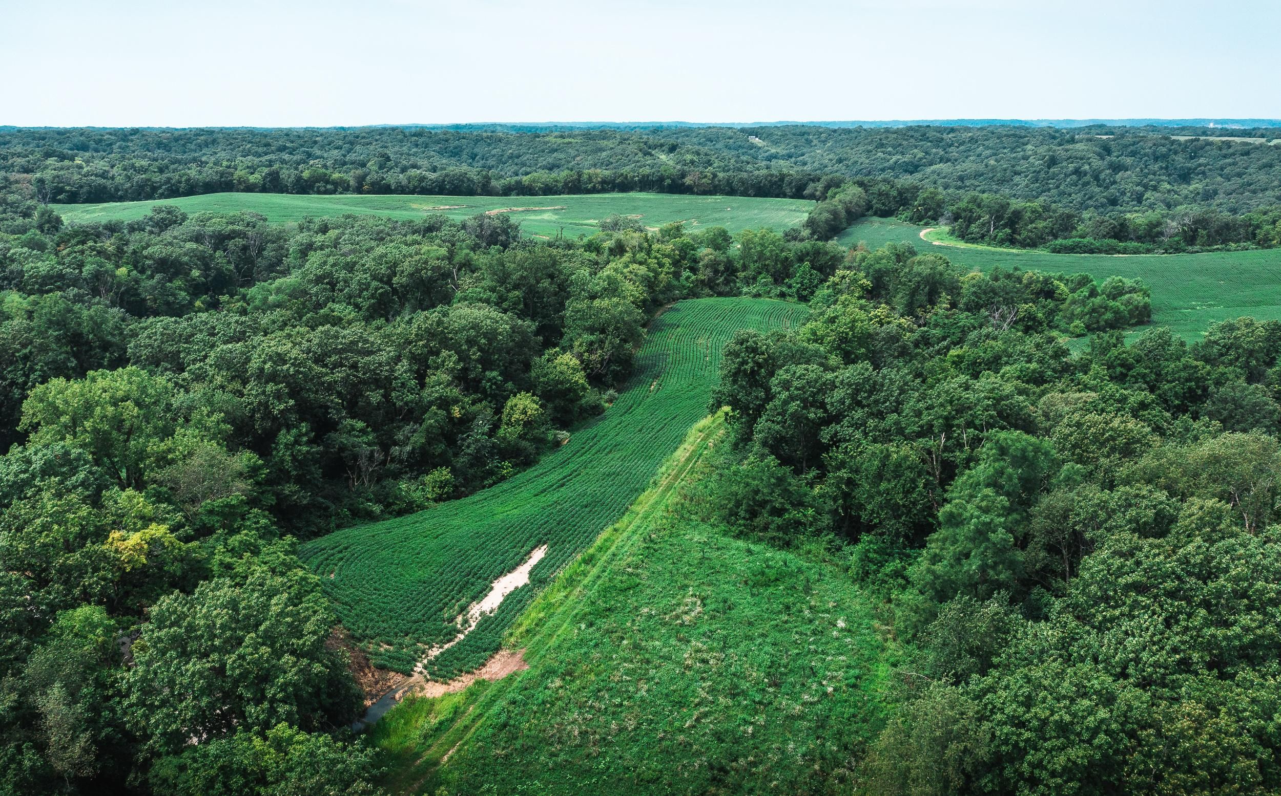 101 acres in Jersey County, Illinois