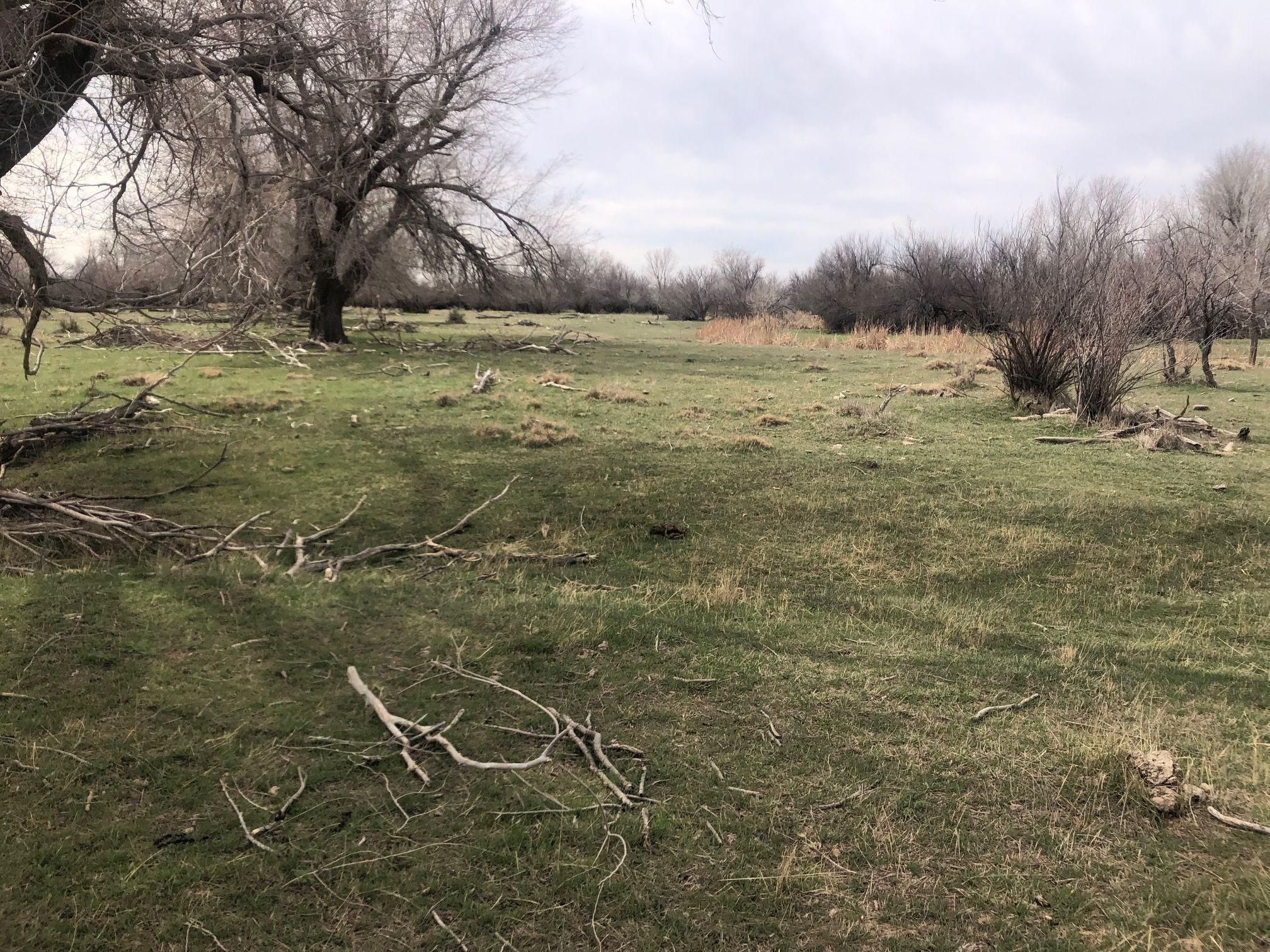 120 acres in Beaver County, Oklahoma