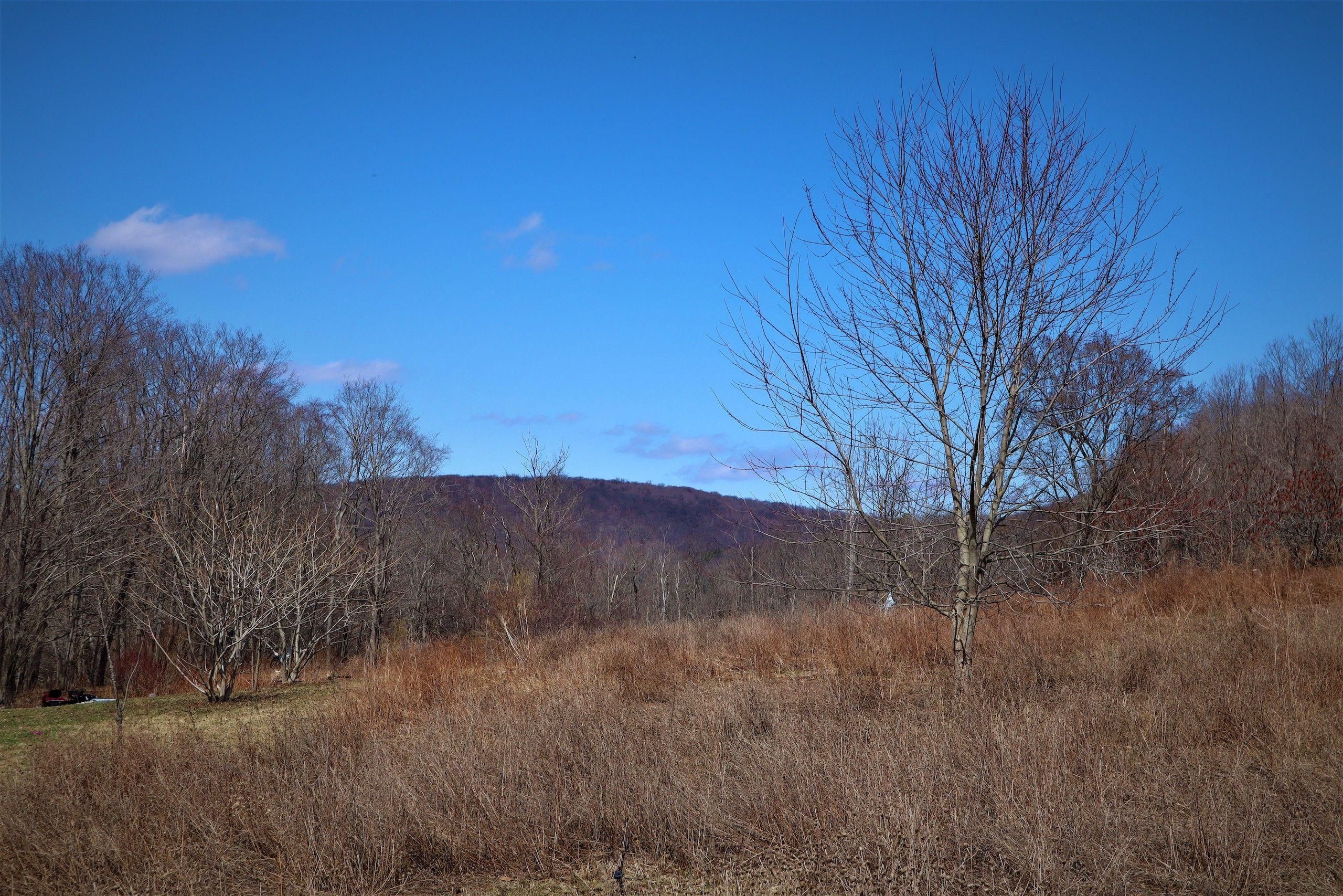 11 acres in Cattaraugus County, New York
