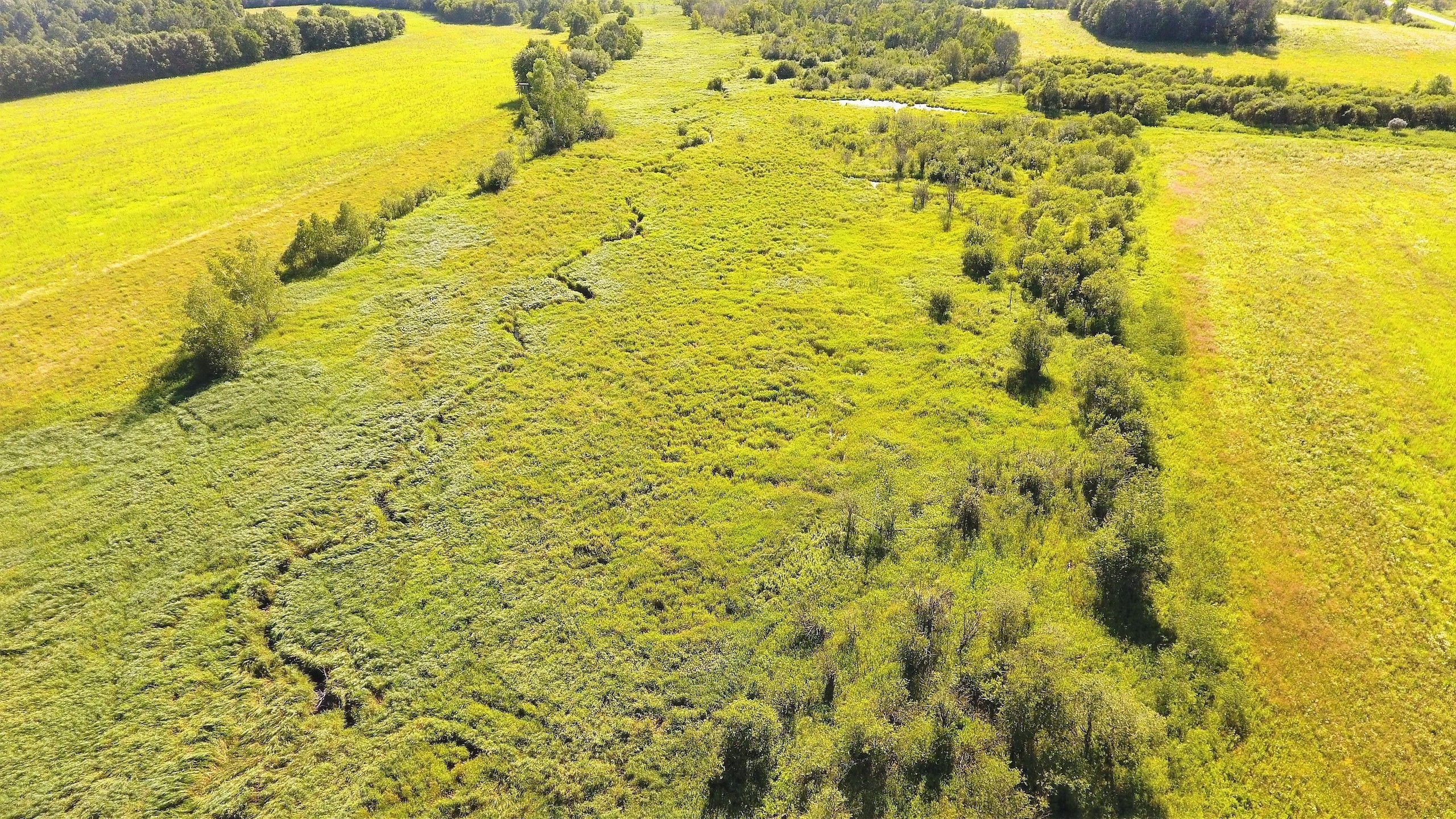 145.5 acres in Dunn County, Wisconsin