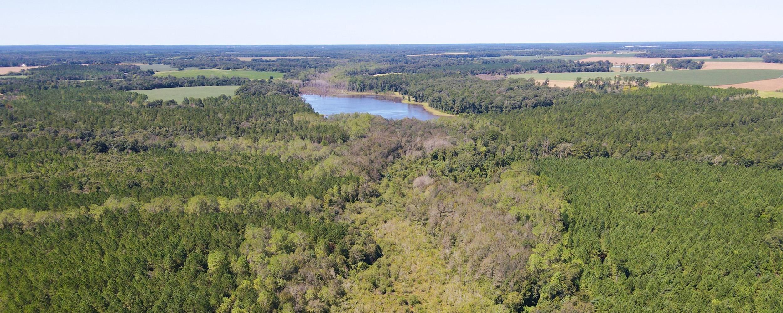 142 acres in Randolph County,