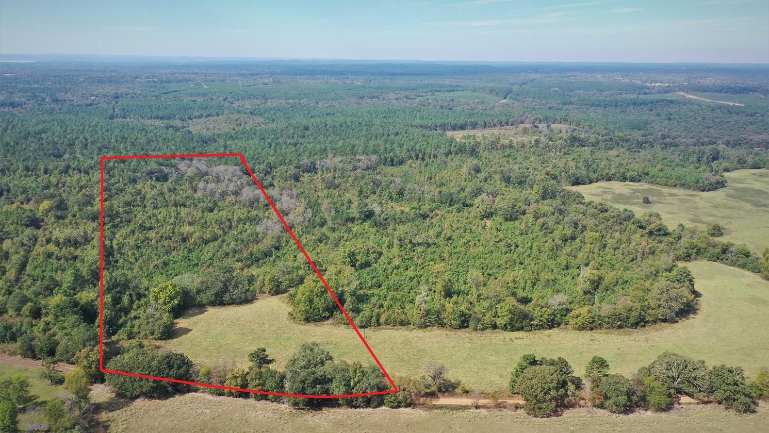20 acres in Marion County, Texas