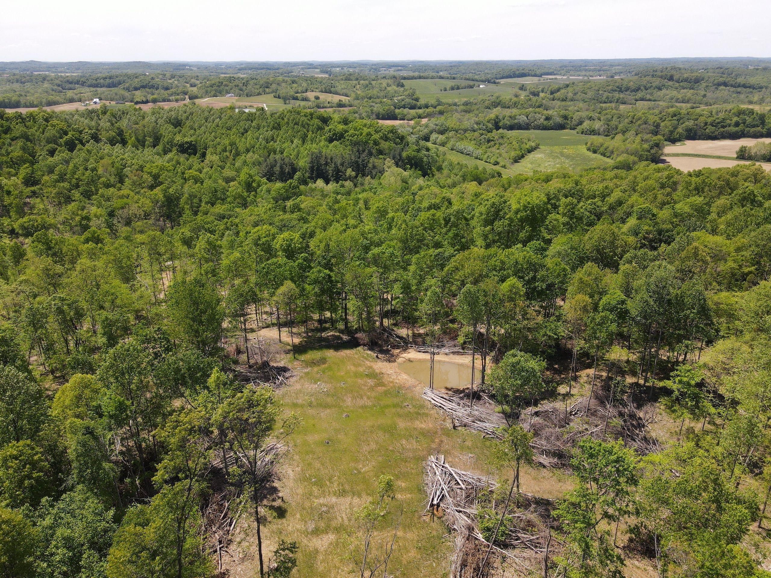 59.45 acres in Perry County, Indiana