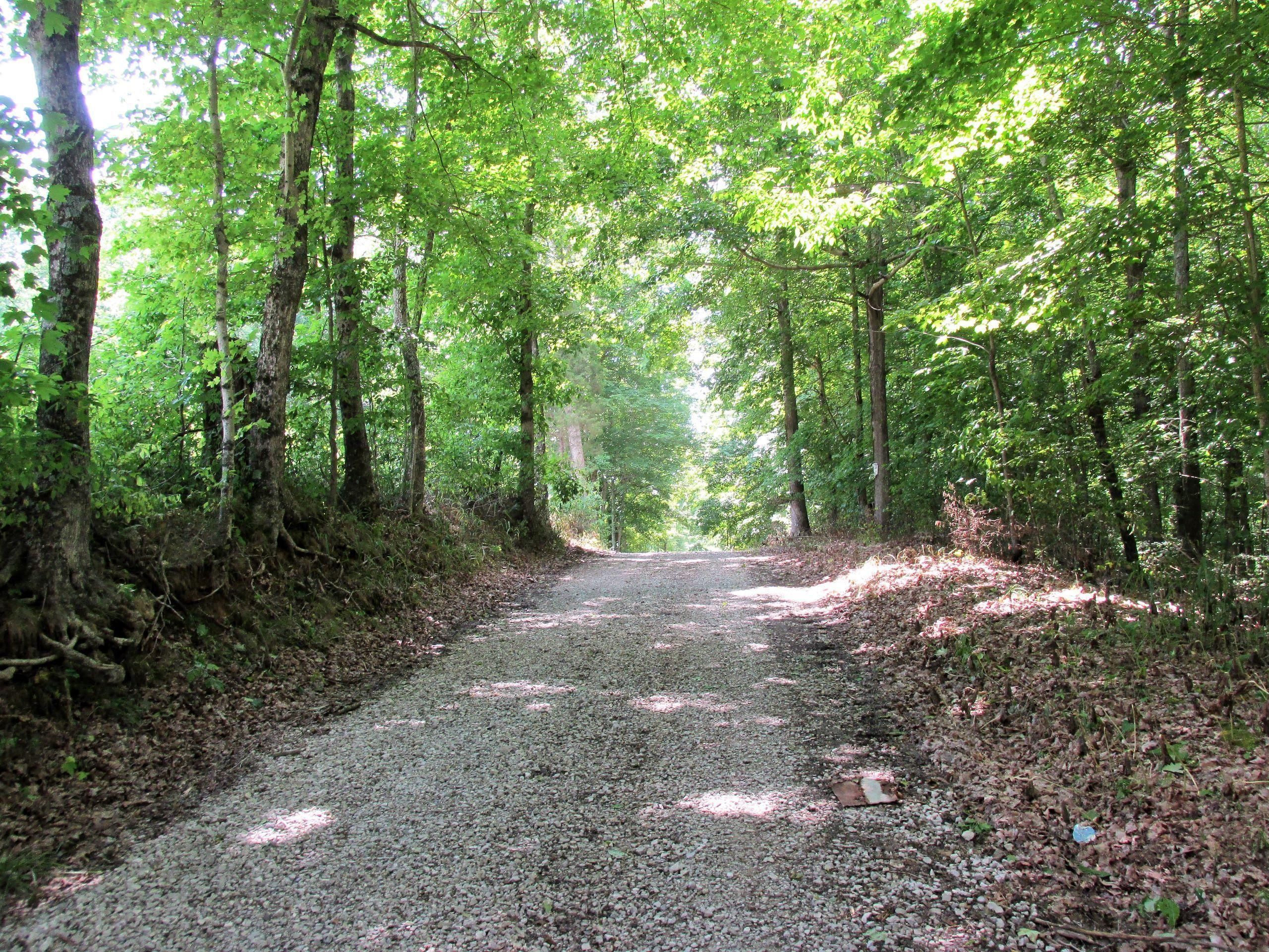 120 acres in Ohio County, Kentucky