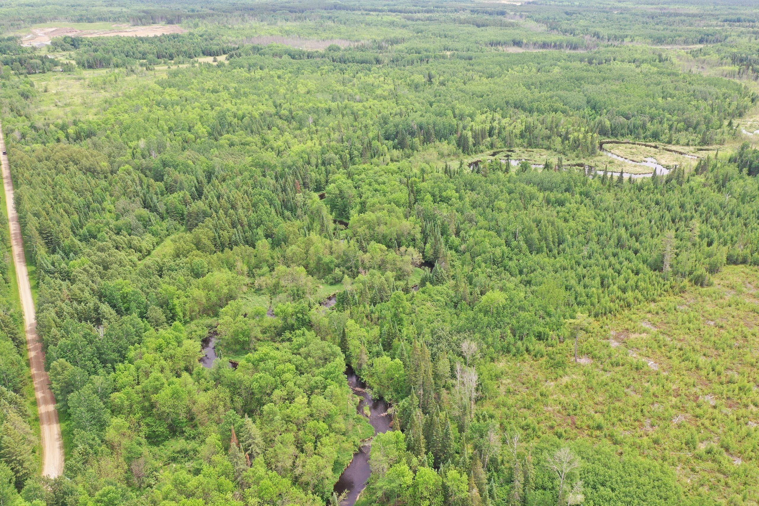 80 acres in Koochiching County, Minnesota