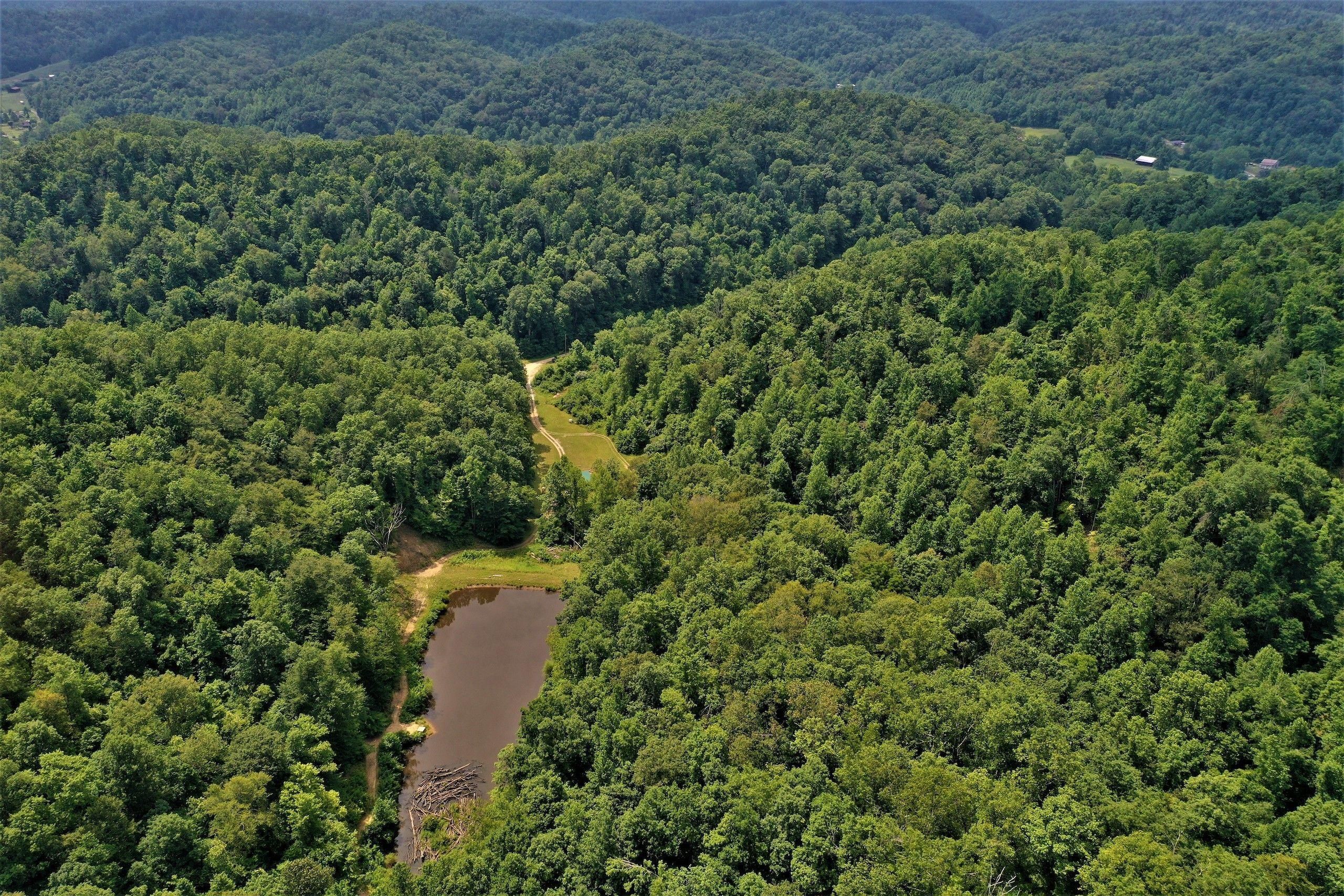 188 acres in Magoffin County, Kentucky