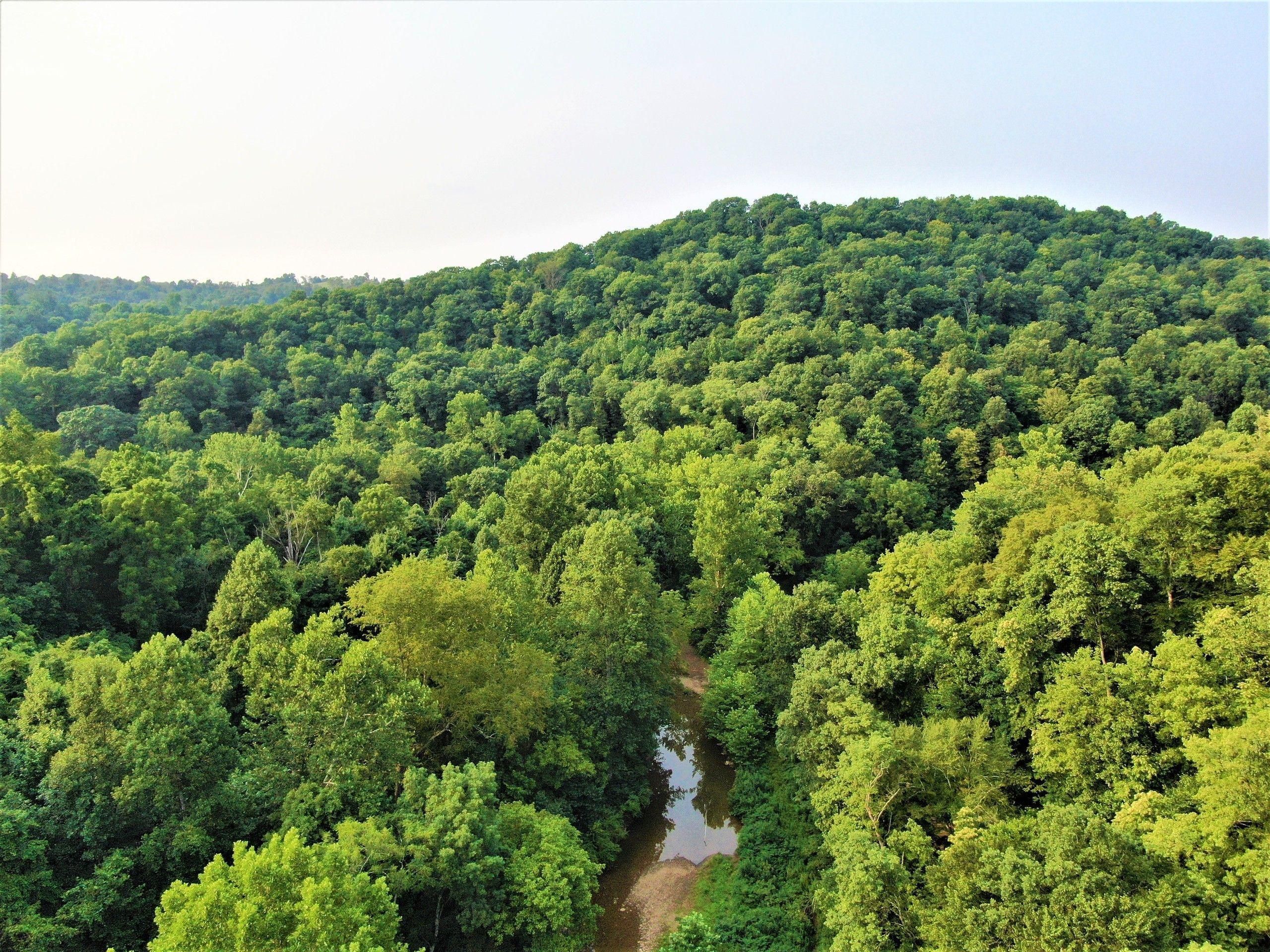 198 acres in Pleasants County, West Virginia