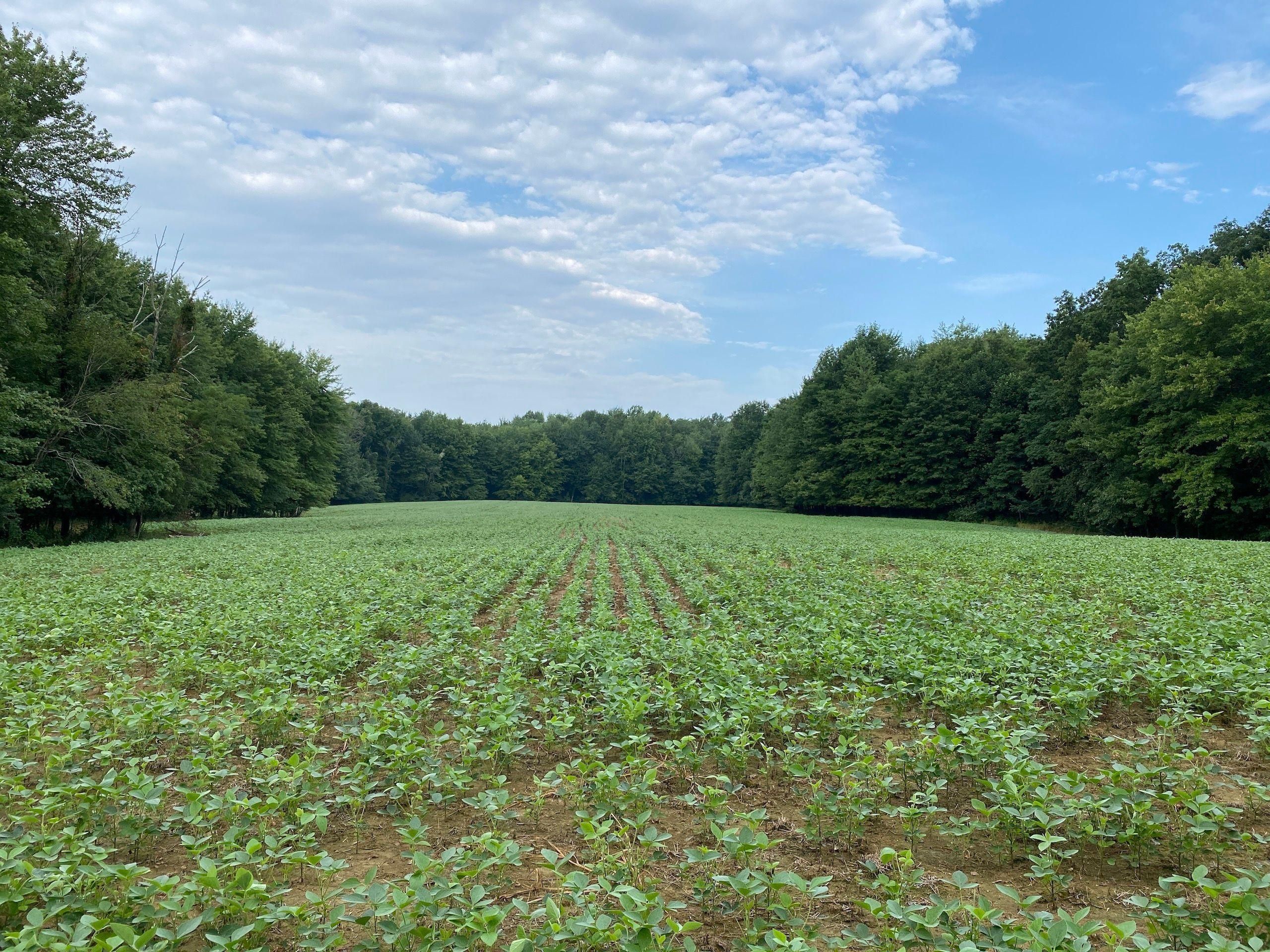 113 acres in Brown County, Ohio