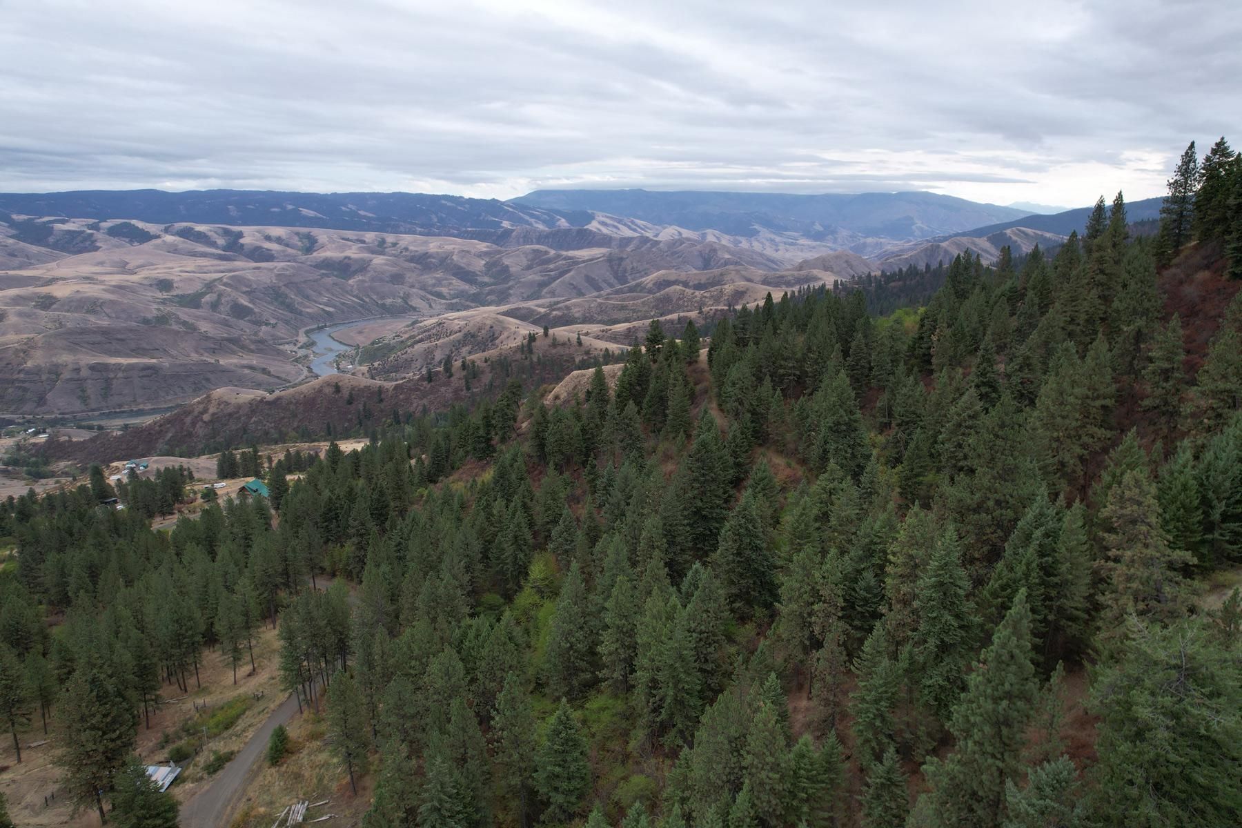 40.45 acres in Idaho County, Idaho