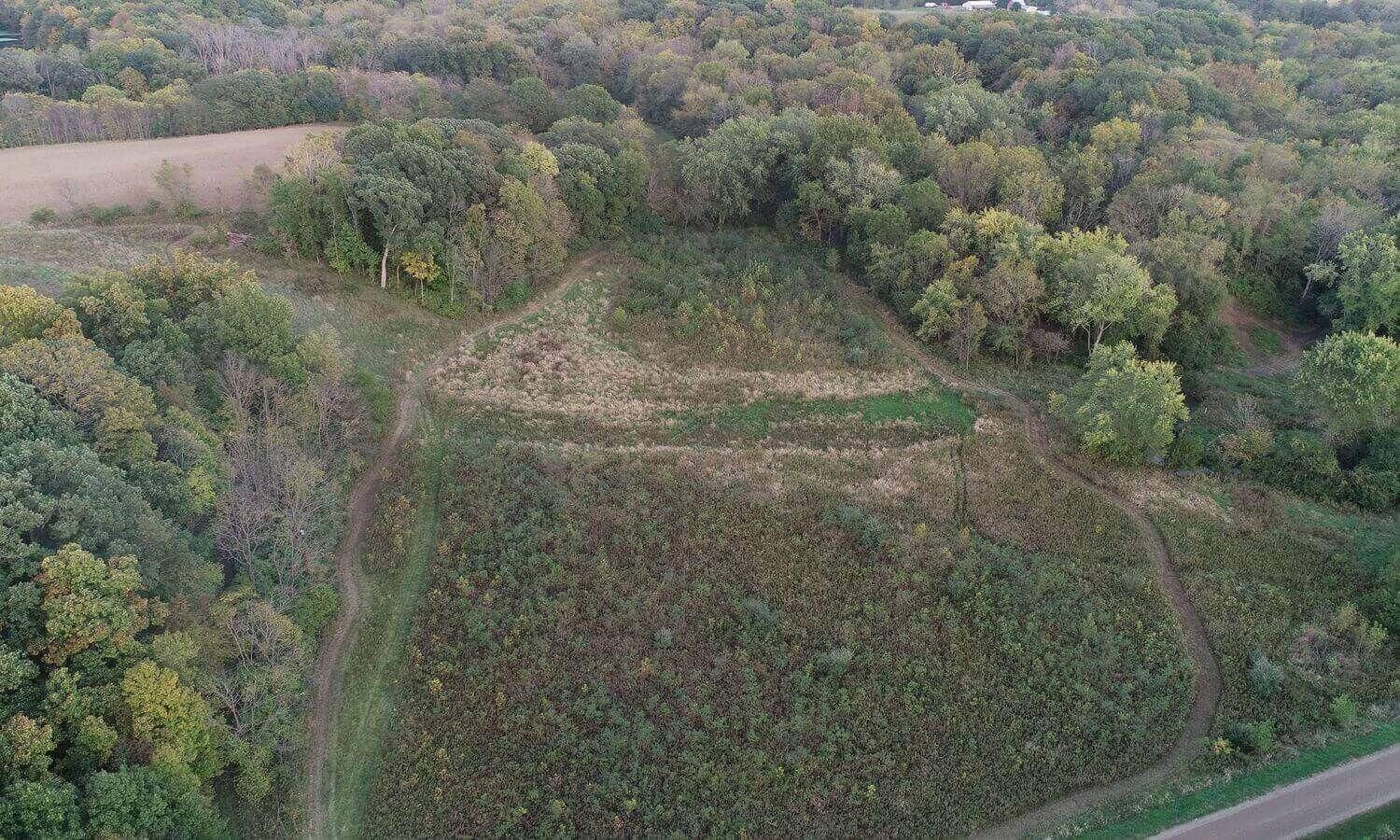 20 acres in DeWitt County, Illinois