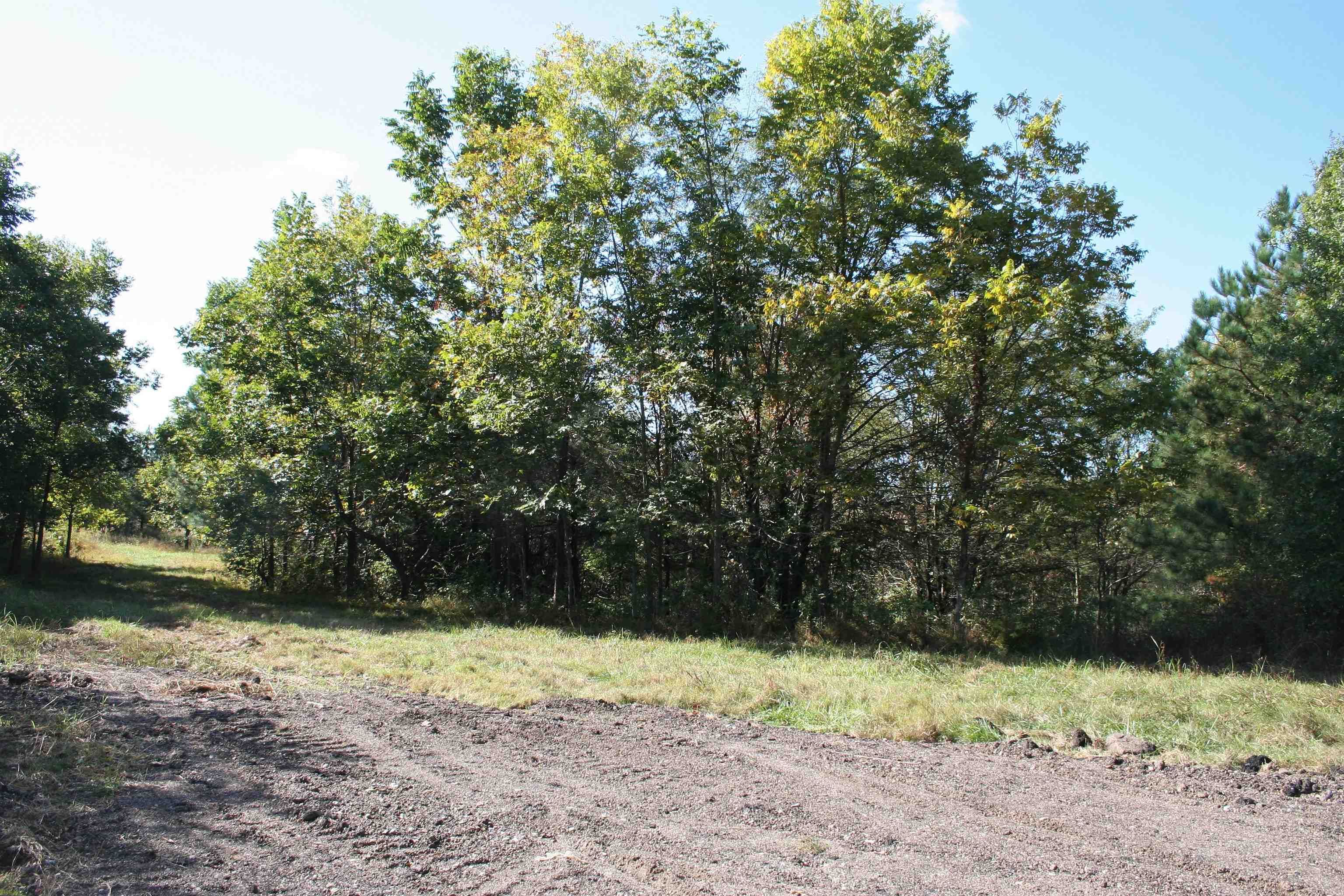 60 acres in Dyer County, Tennessee