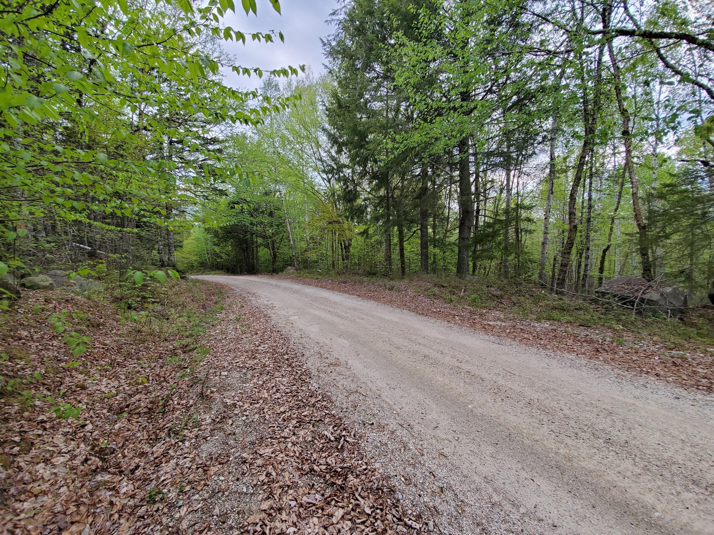 5 acres in Washington County, Maine