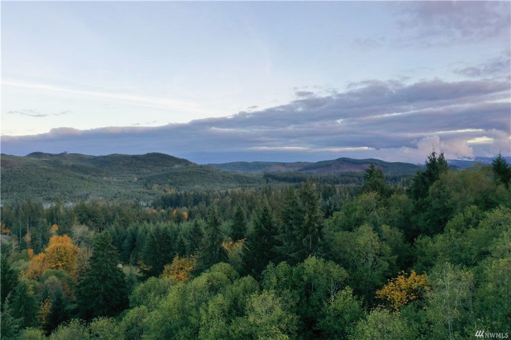 5 acres in Mason County, Washington