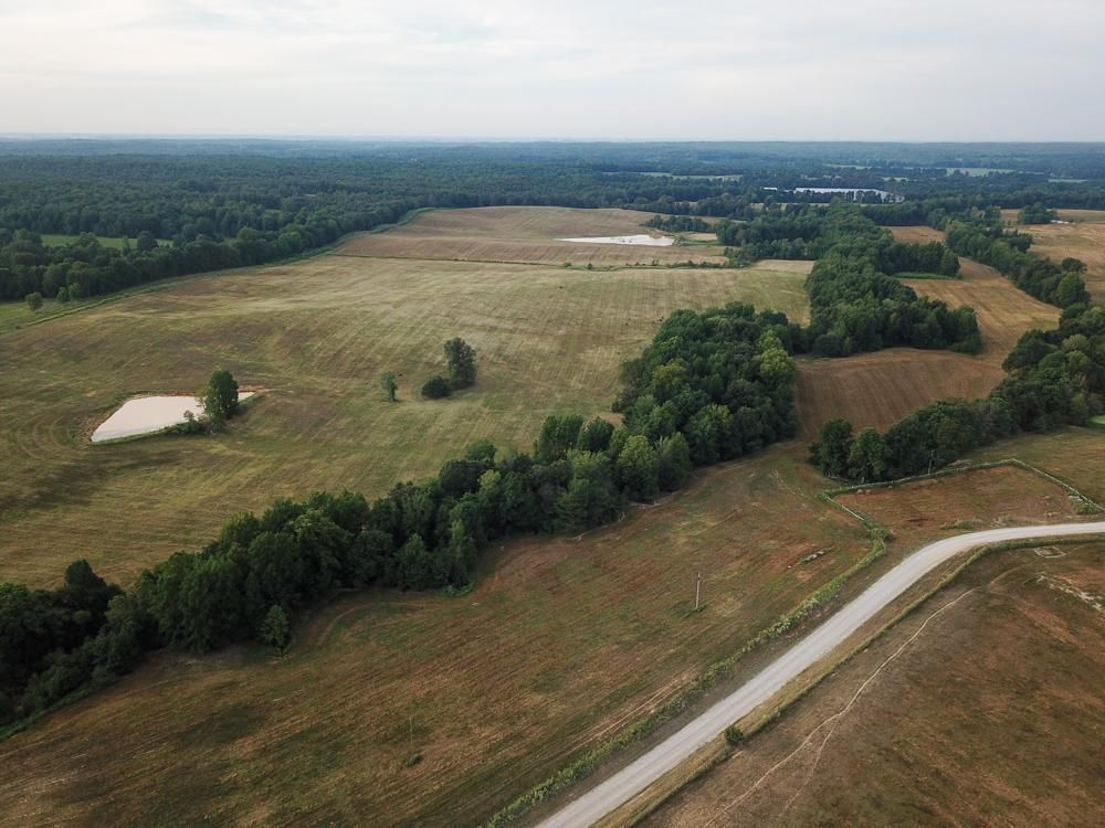 TBD County Road 440, Boydsville, AR 72417 MLS Clay 1716