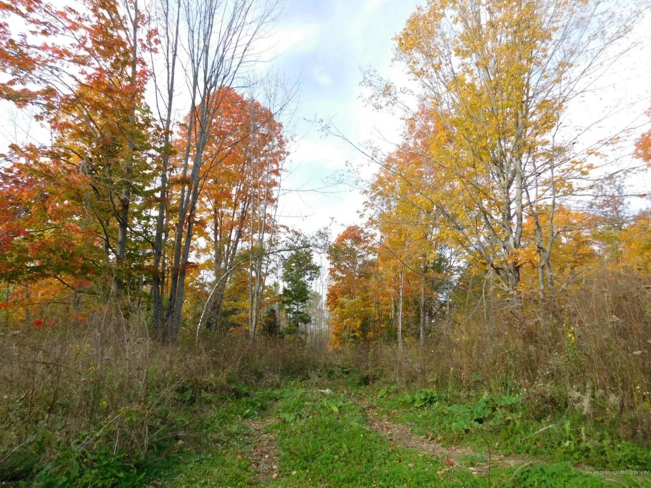 35 acres in Penobscot County, Maine