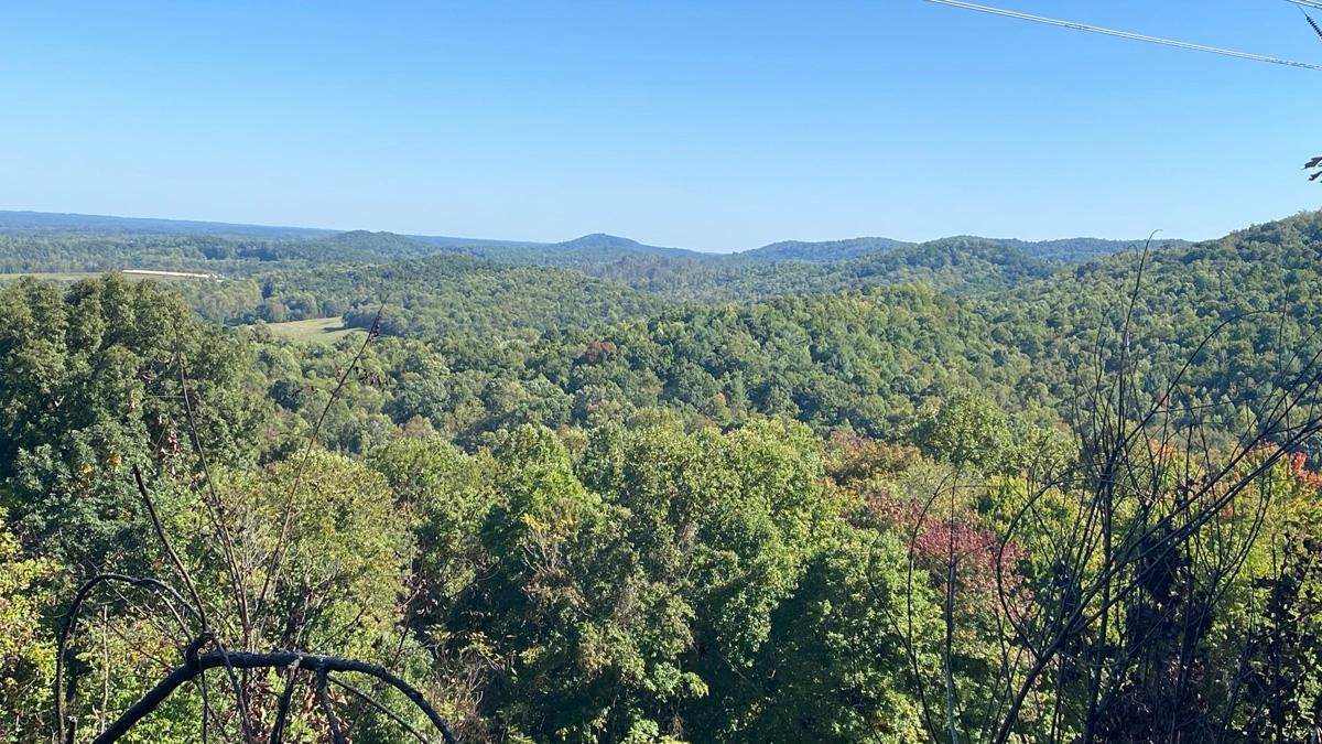 366.43 acres in Wilkes County, North Carolina