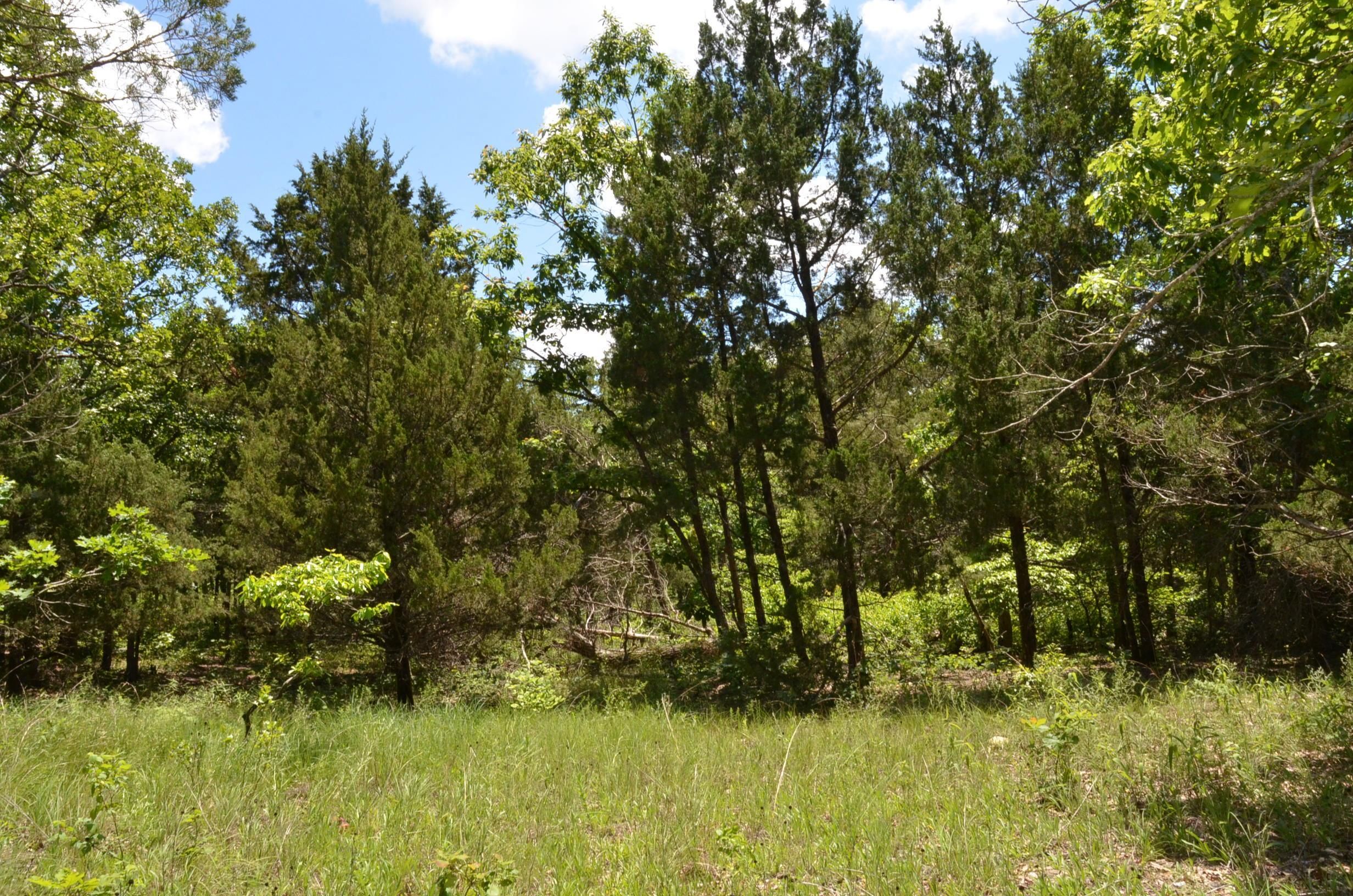 43 acres in Hickory County, Missouri