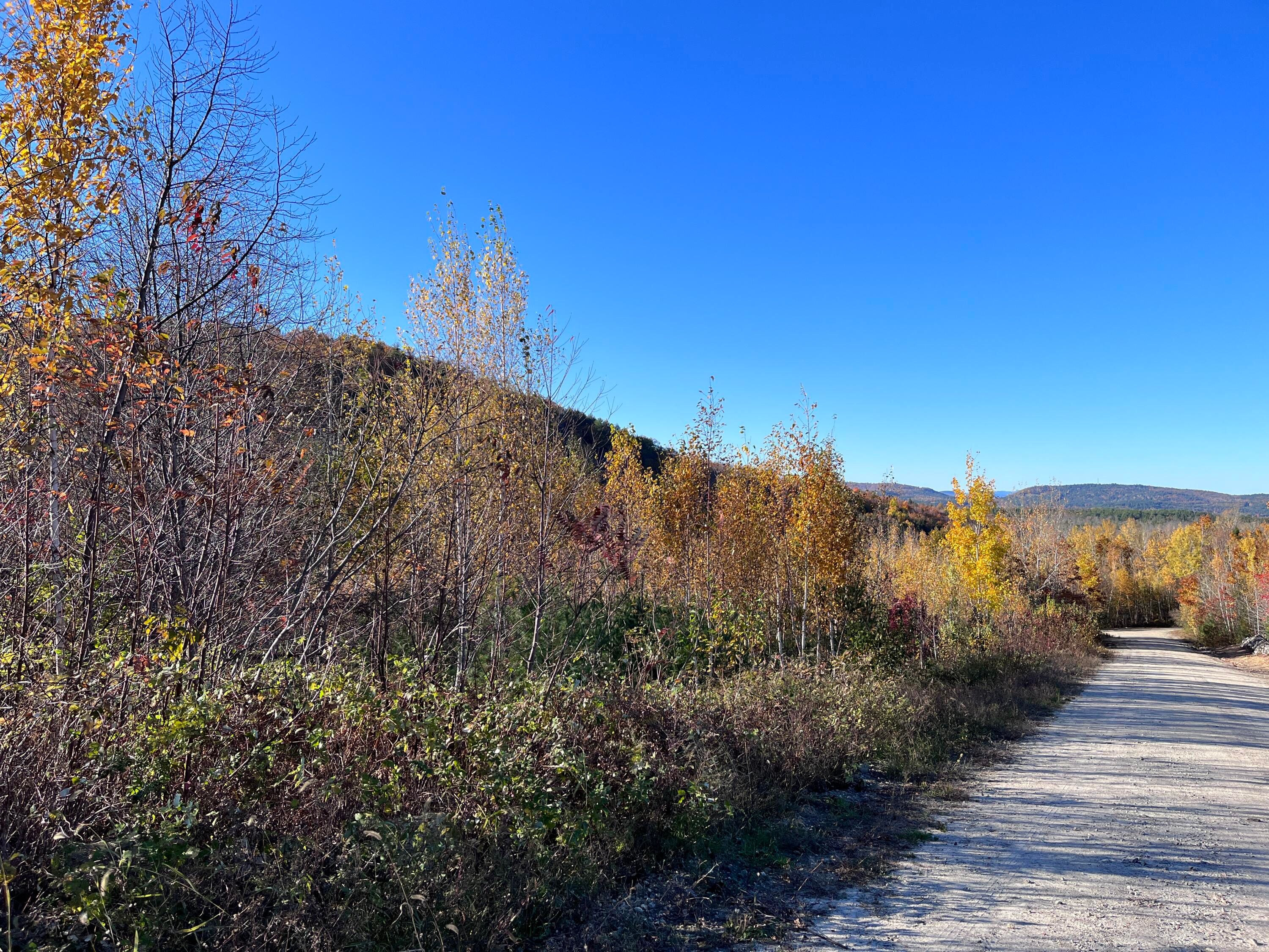 4 acres in Oxford County, Maine