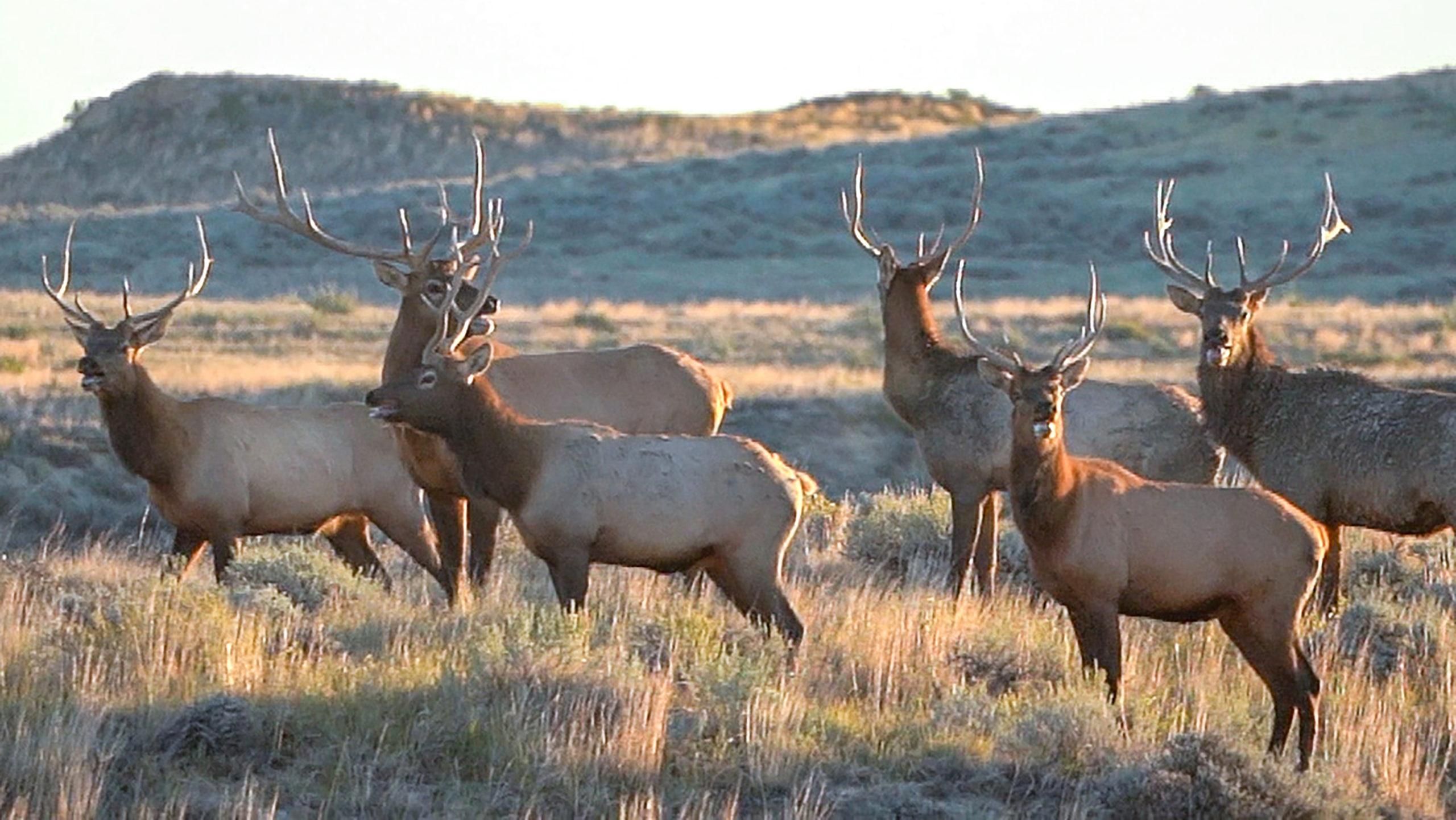 S. Fork Lodgepole Road, Sand Springs, MT 59077