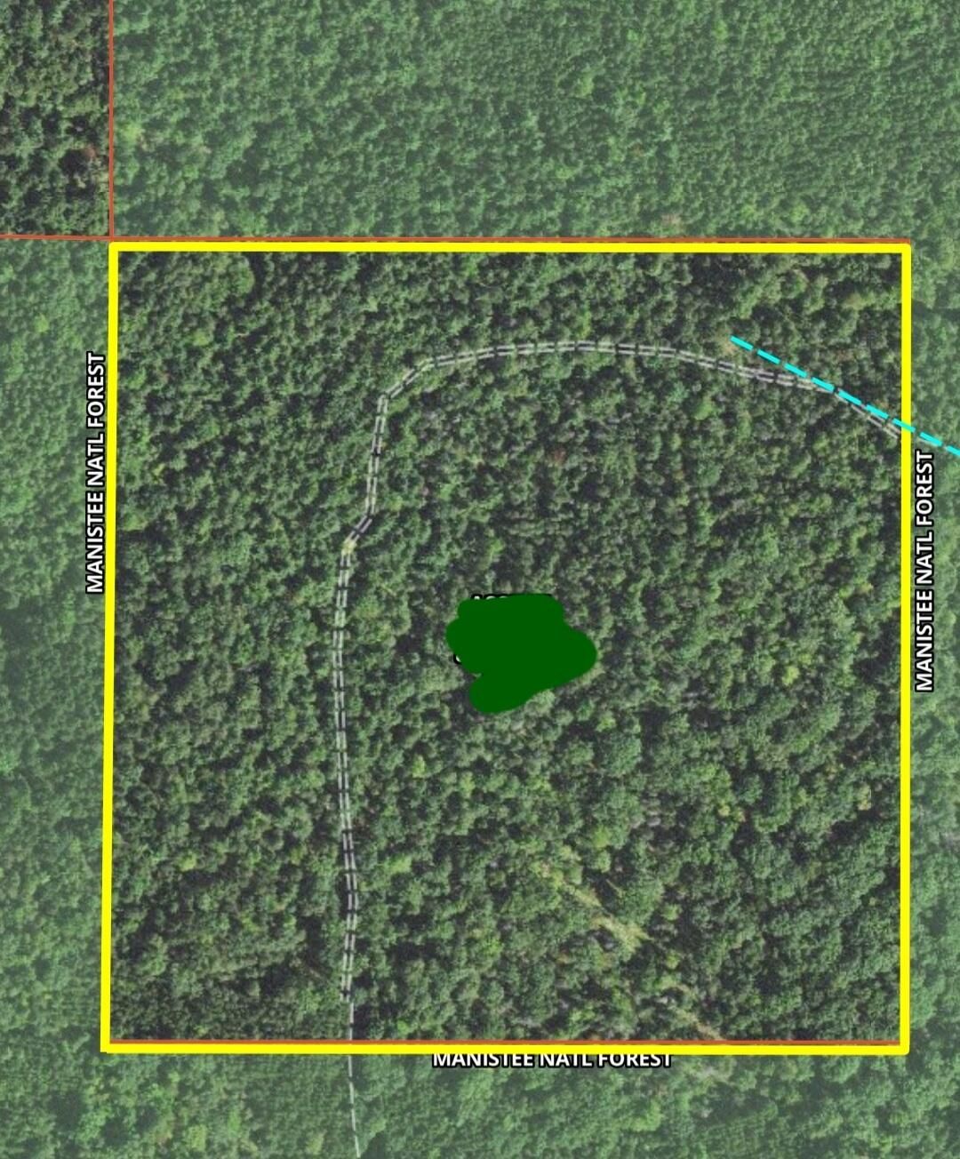 40 acres in Manistee County, Michigan