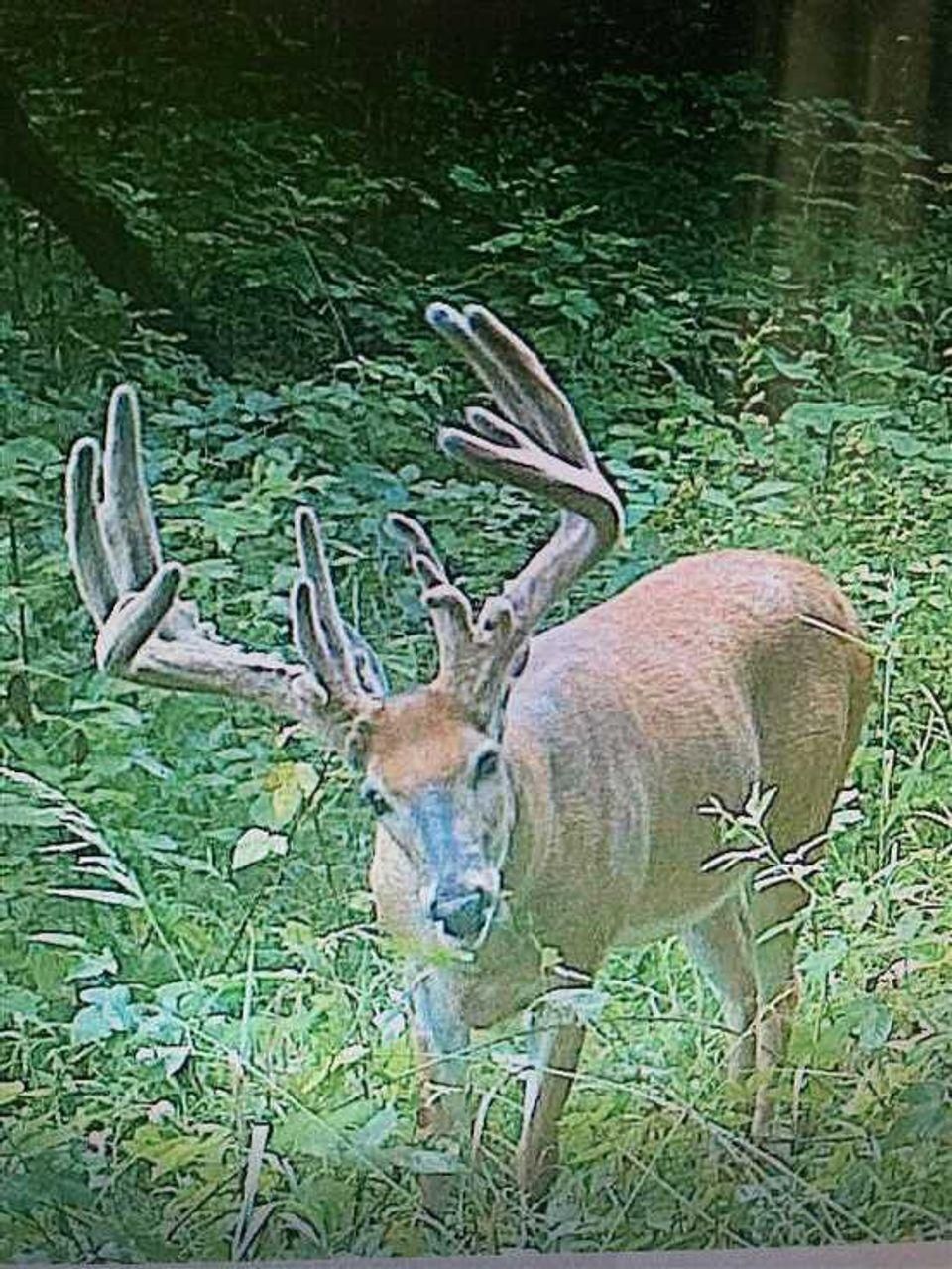 70 acres in Livingston County, Missouri