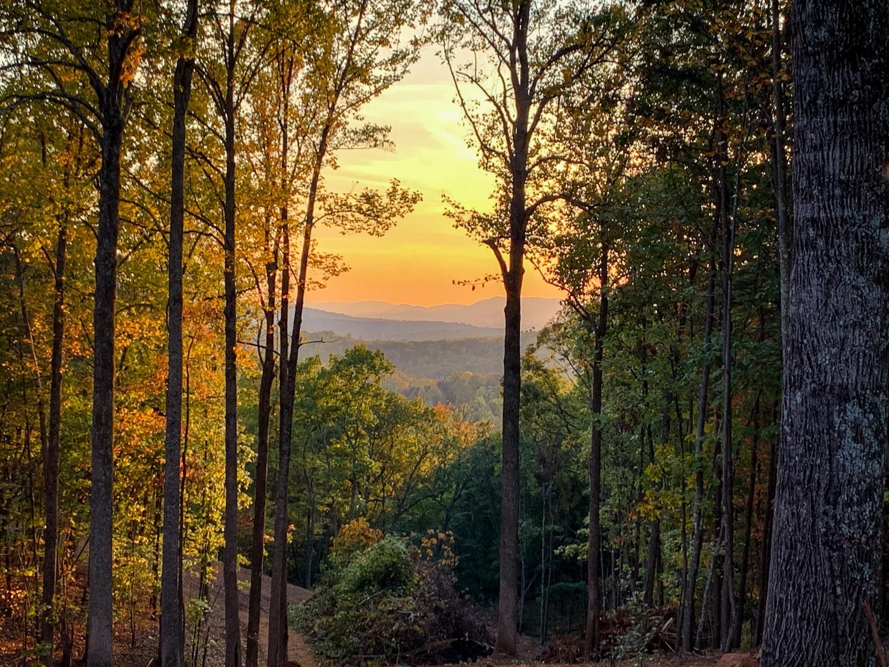 16.5 acres in Albemarle County, Virginia