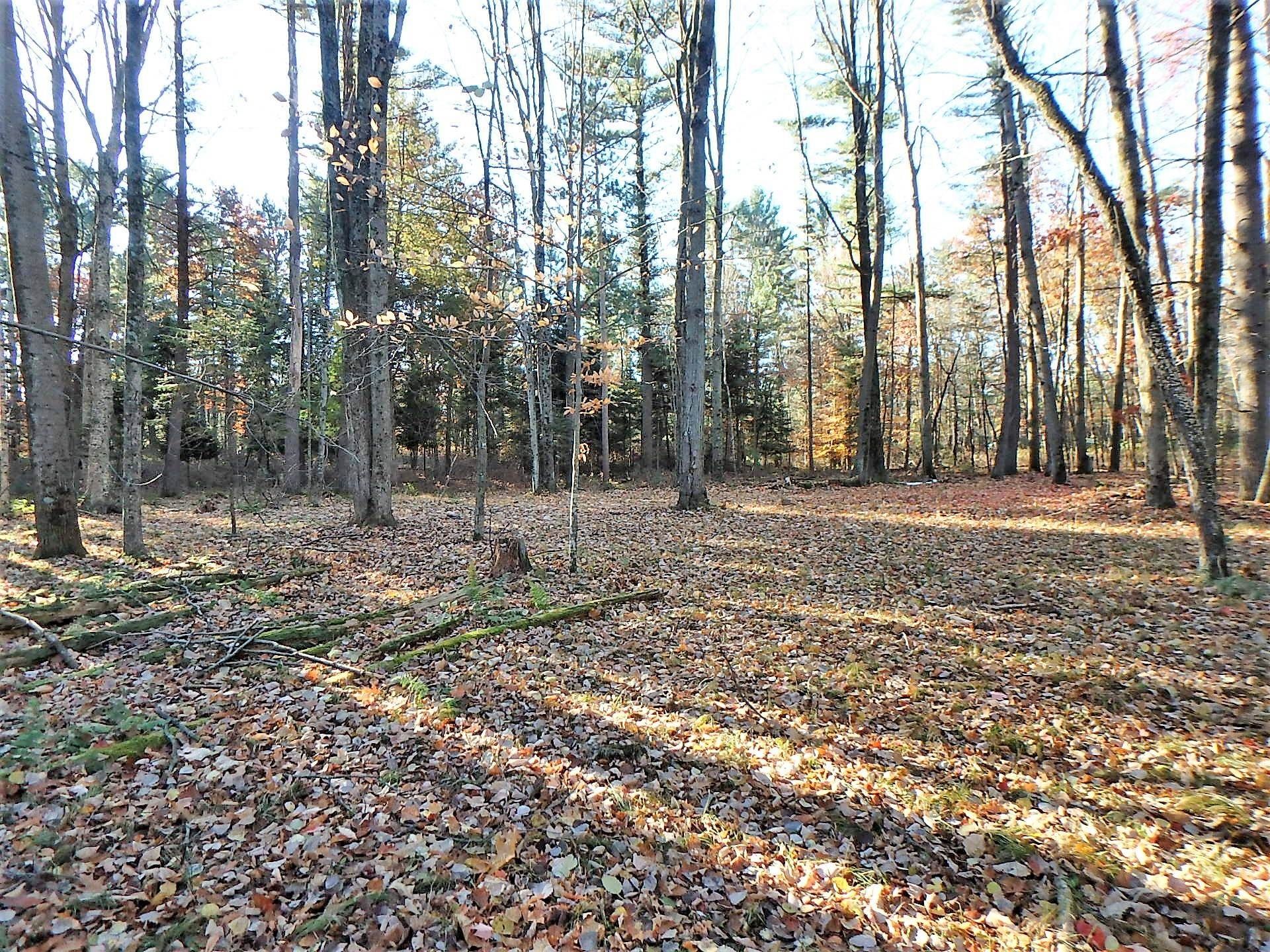 20 acres in Shawano County, Wisconsin