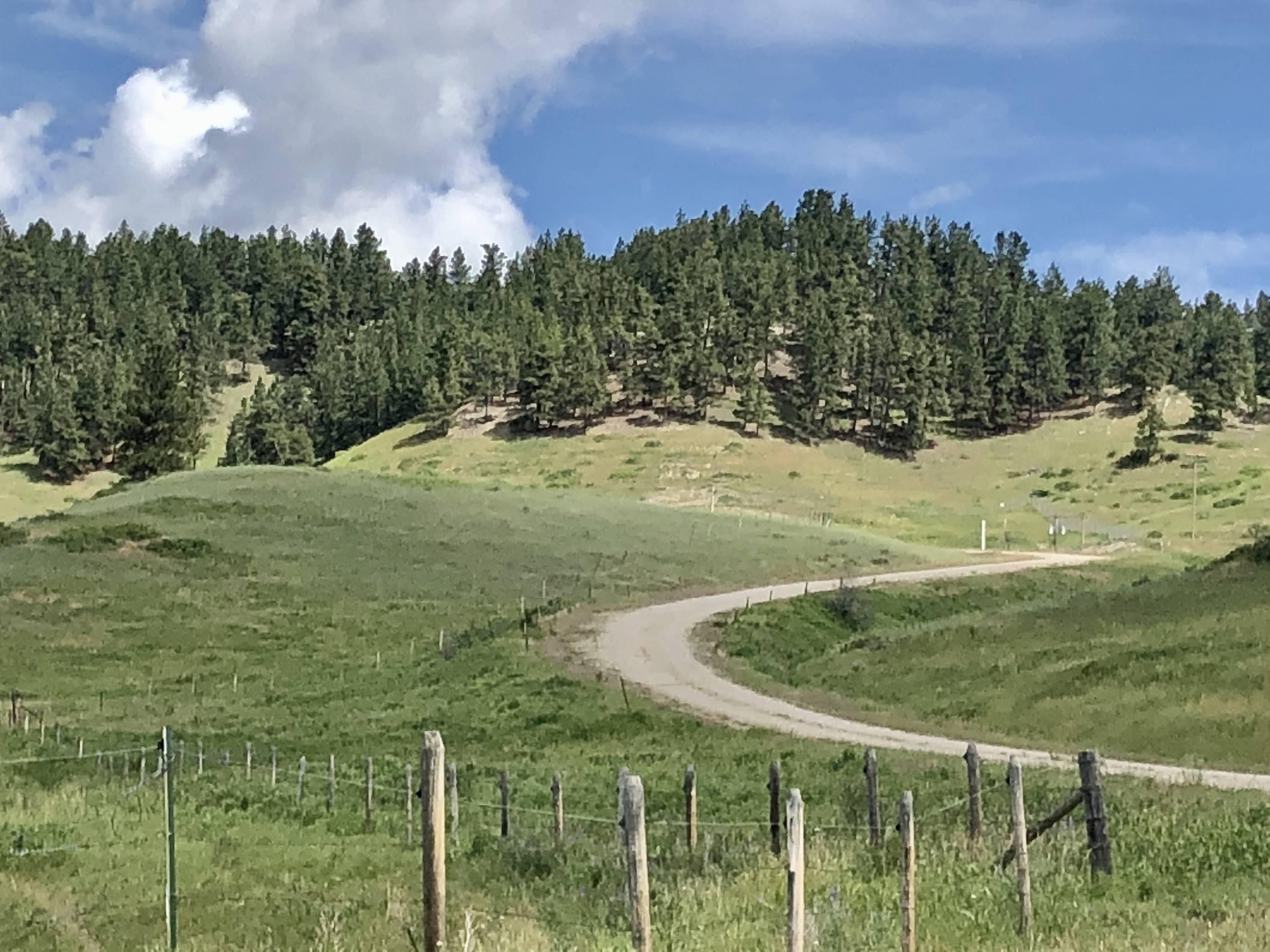 268 acres in Fergus County, Montana