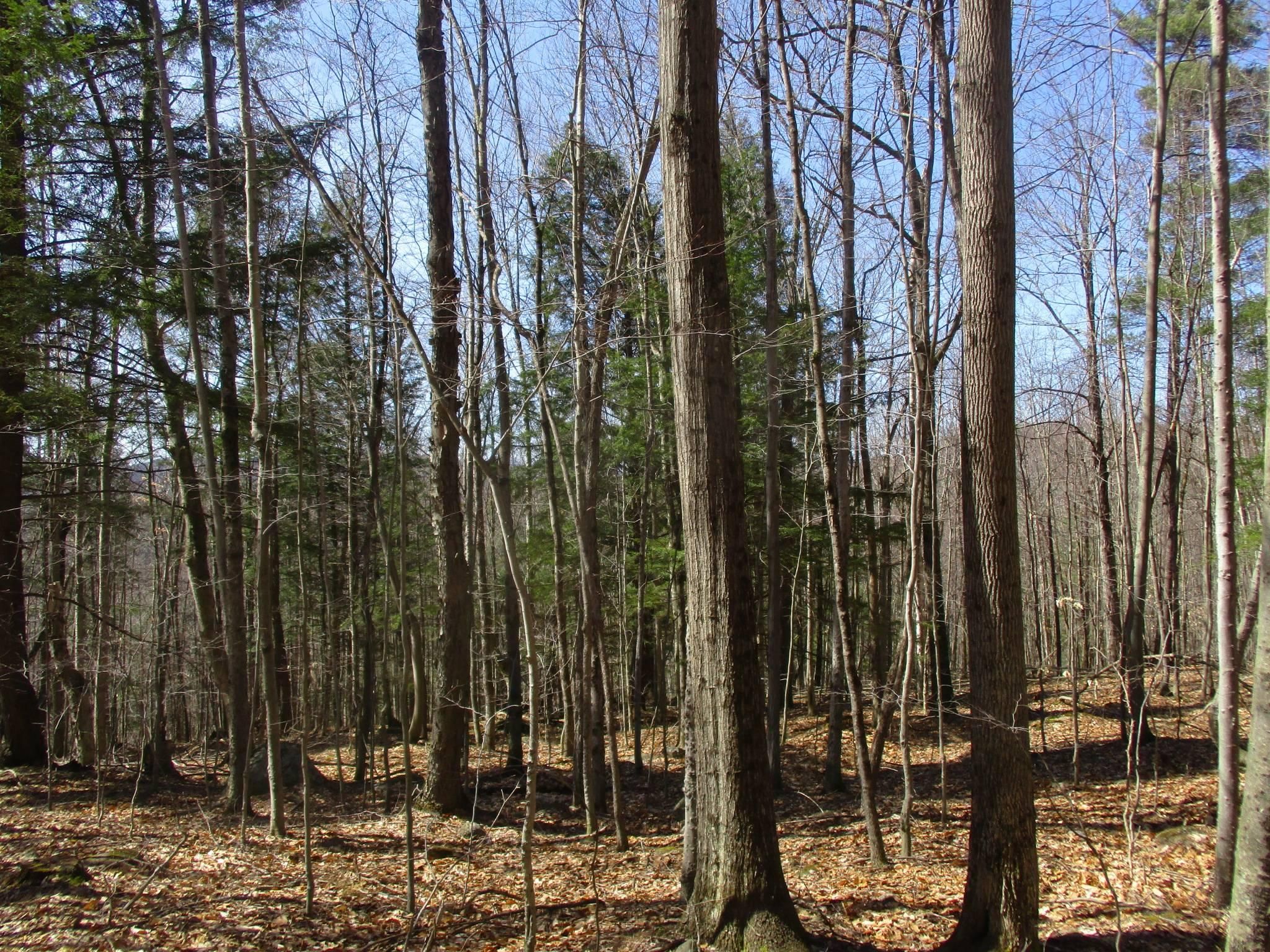 194.29 acres in Warren County, New York