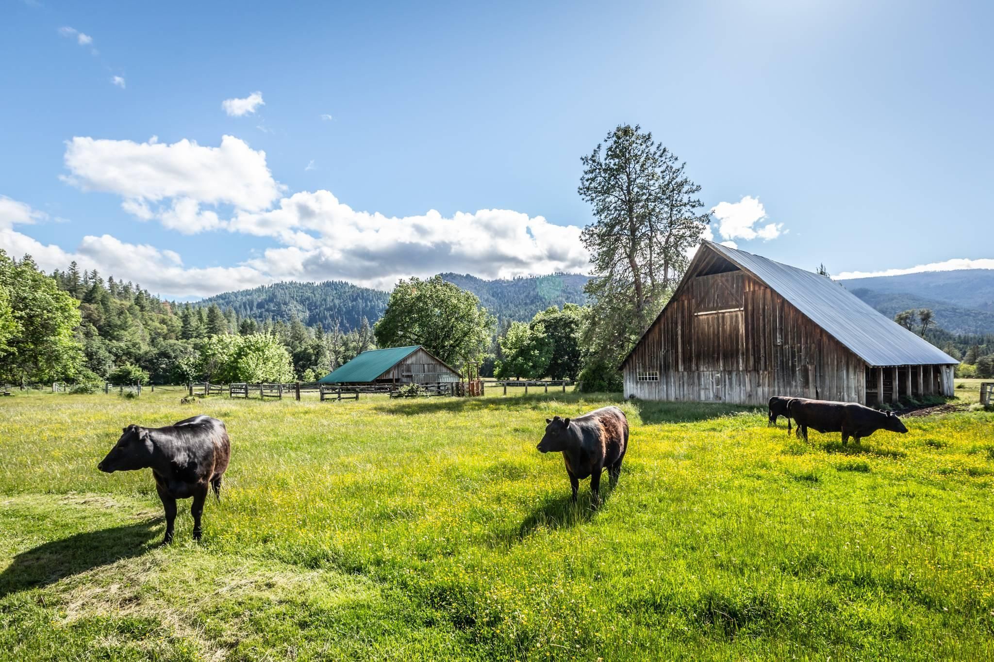 135 acres in Humboldt County, California