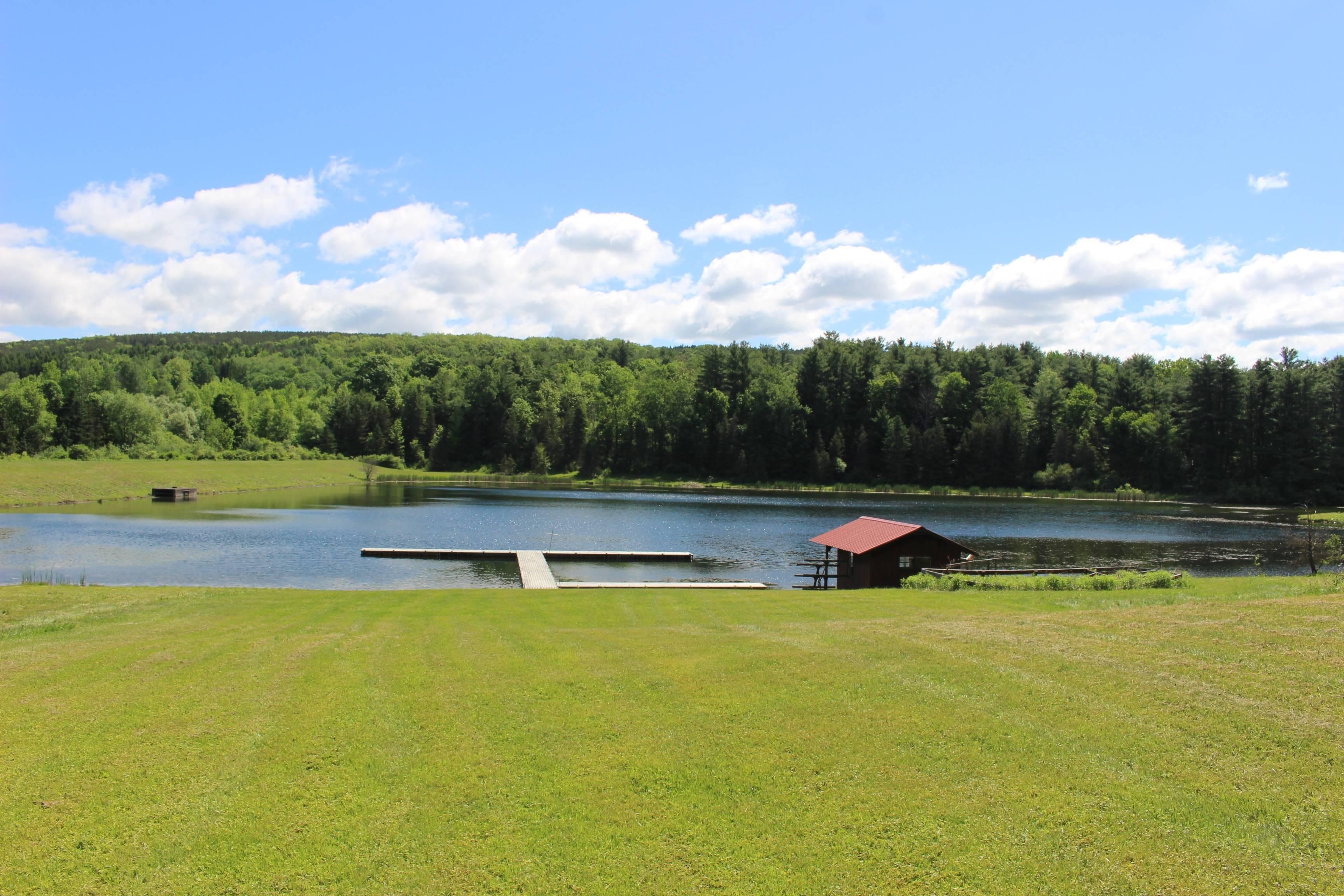 1140 Willey Road, Arkport, NY 14807