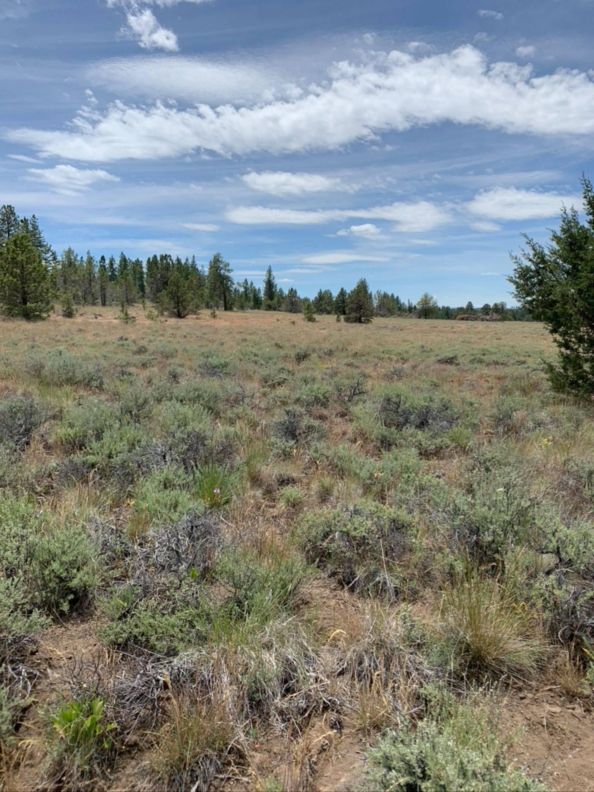 160 acres in Lake County, Oregon