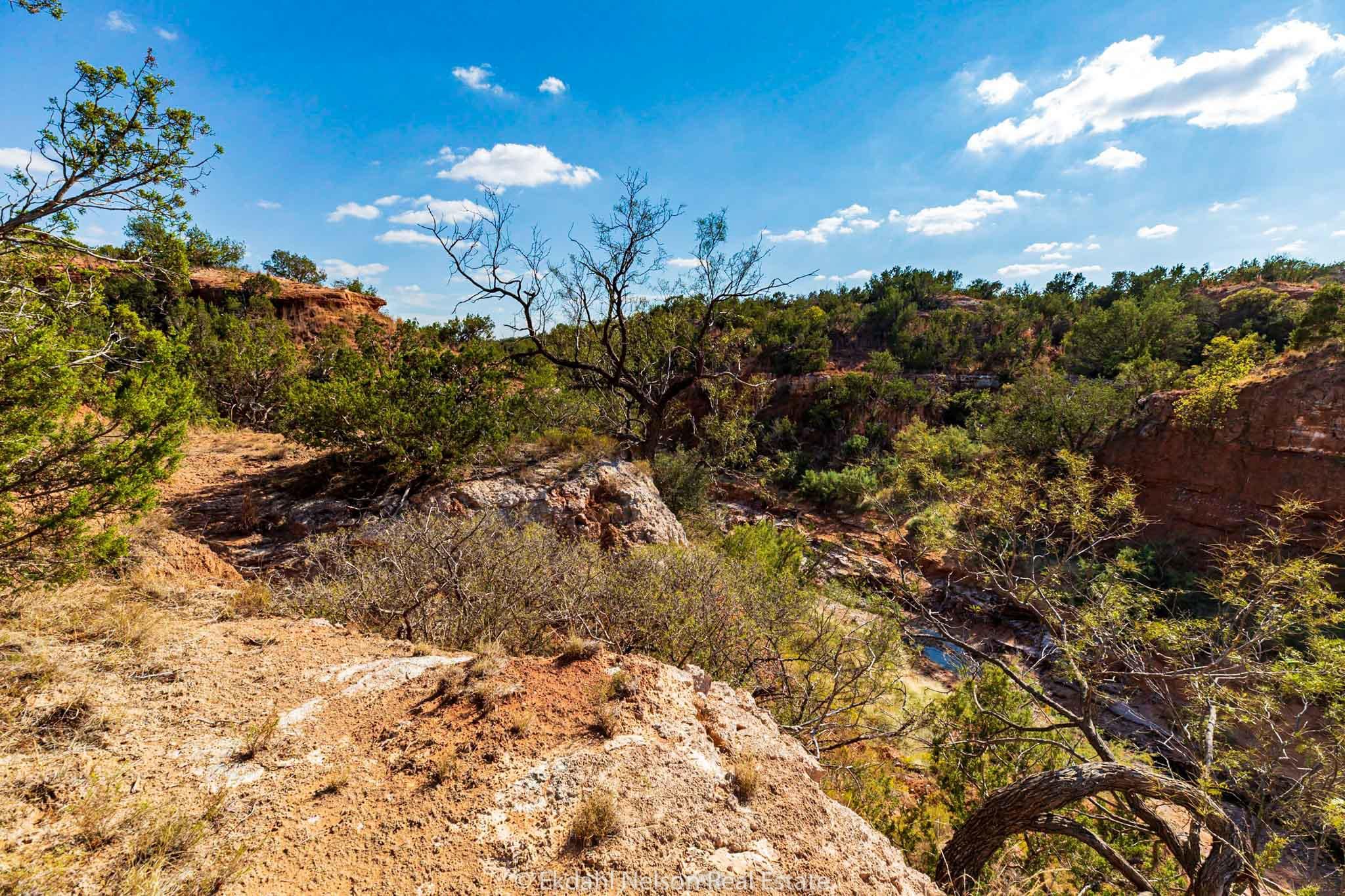 160 acres in Fisher County, Texas