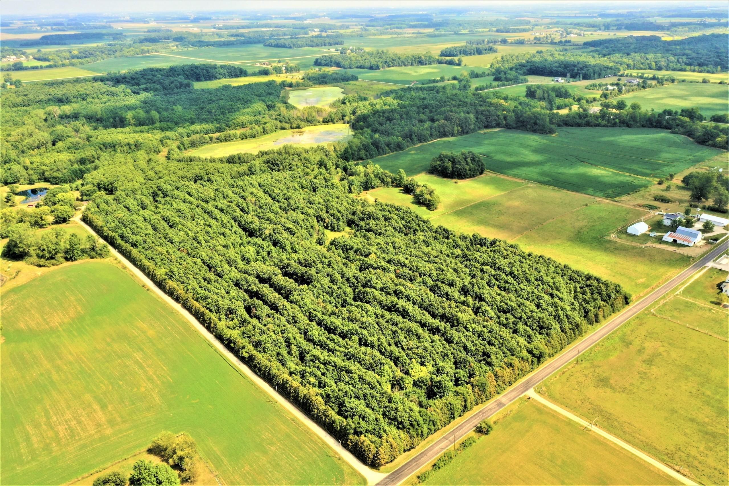 175 acres in Jay County, Indiana