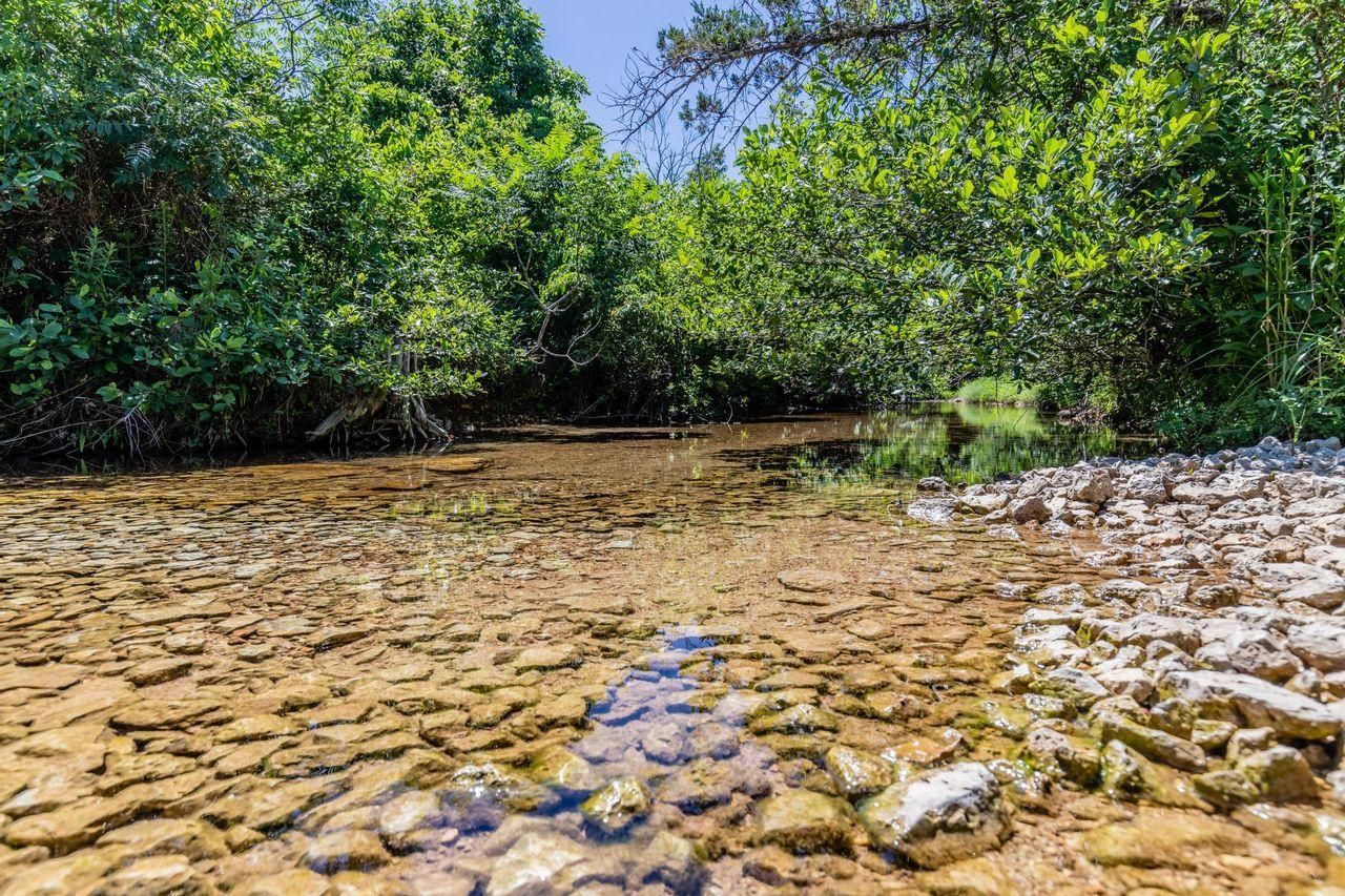 170 acres in Wayne County, Missouri