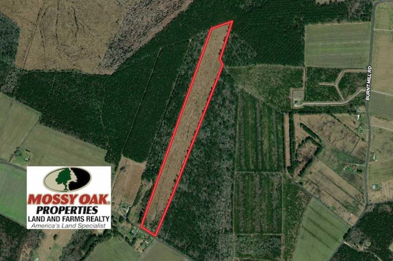 23 acres in Perquimans County, North Carolina
