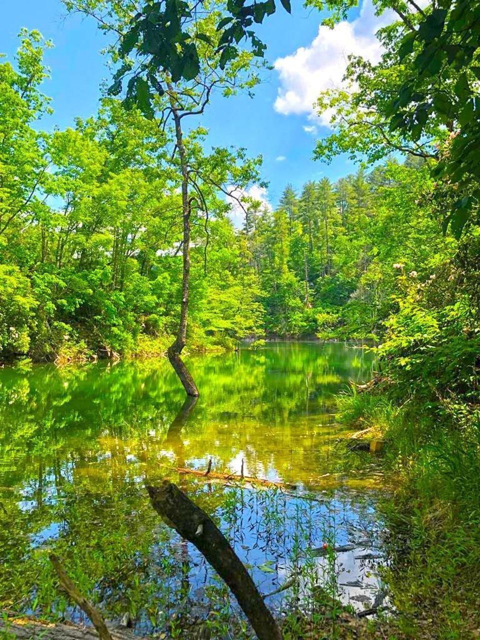 73.61 acres in Graham County, North Carolina