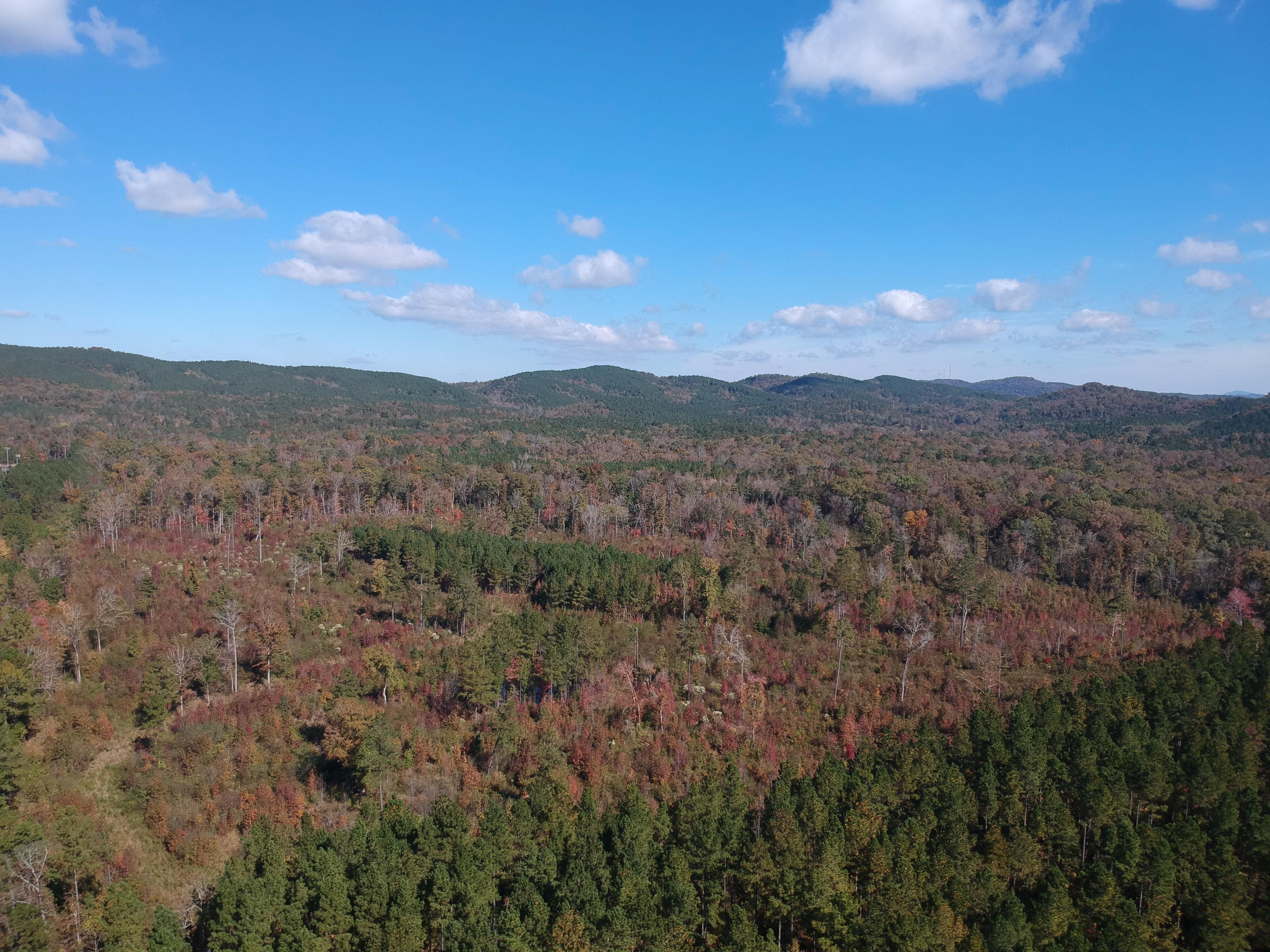 40 acres in Calhoun County, Alabama