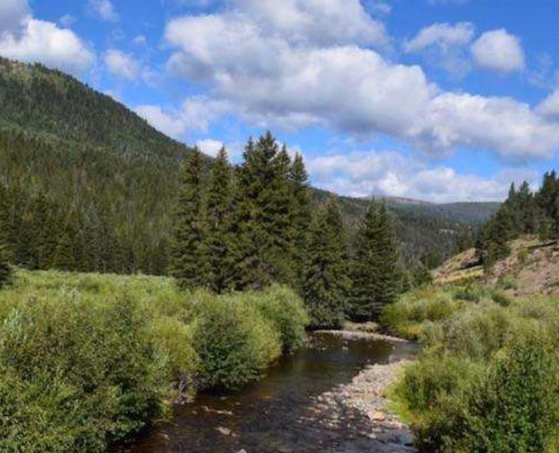 40 acres in Jackson County, Colorado