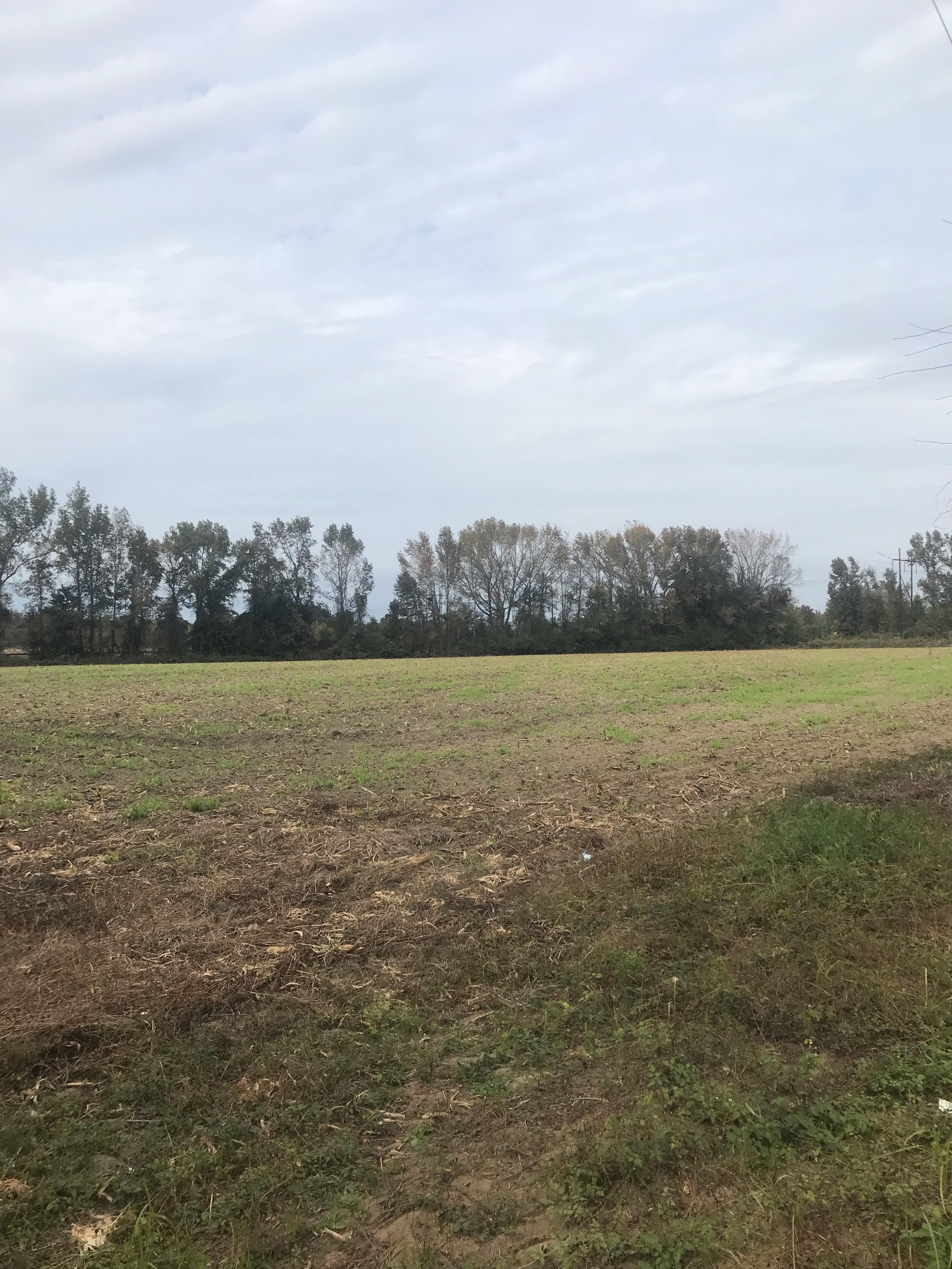 15 acres in Williamsburg County, South Carolina