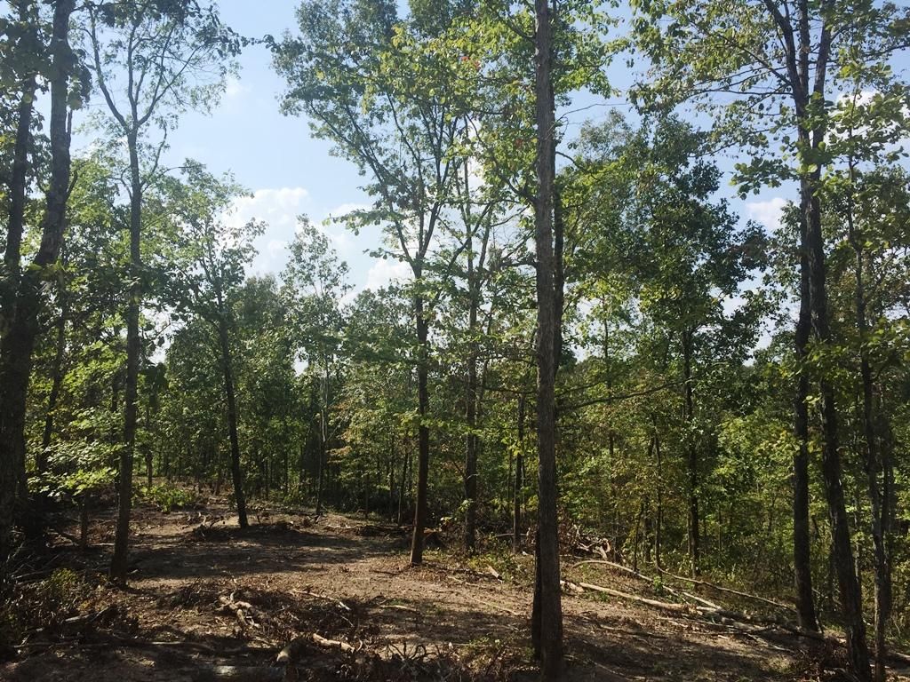 242 acres in Perry County, Tennessee