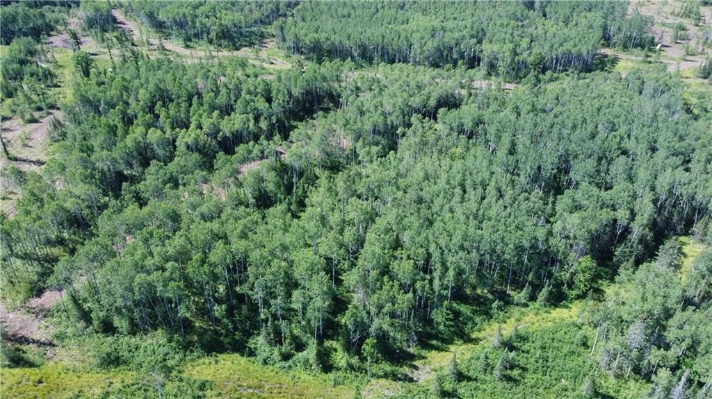 40 acres in Bayfield County, Wisconsin