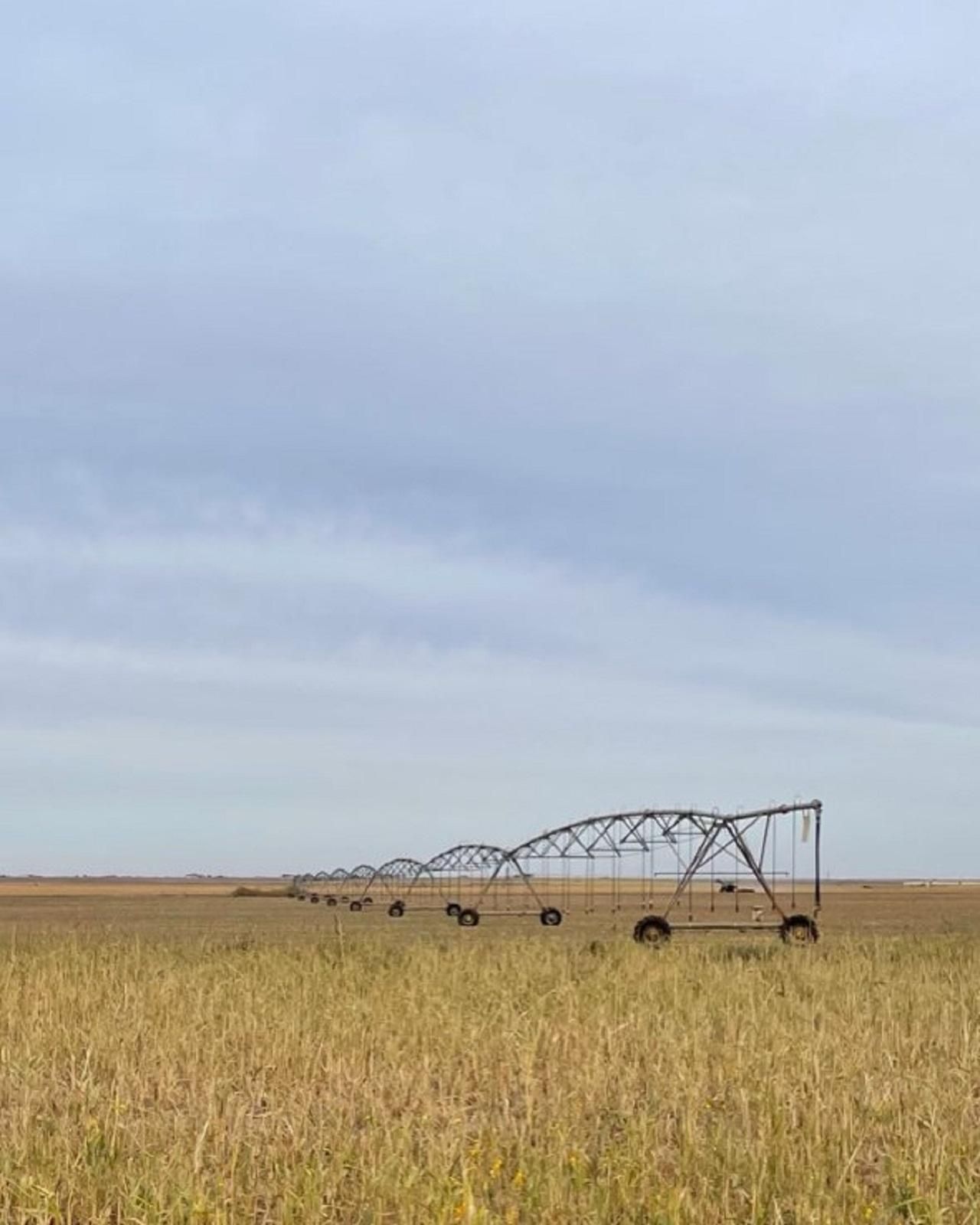 300 acres in Lynn County, Texas